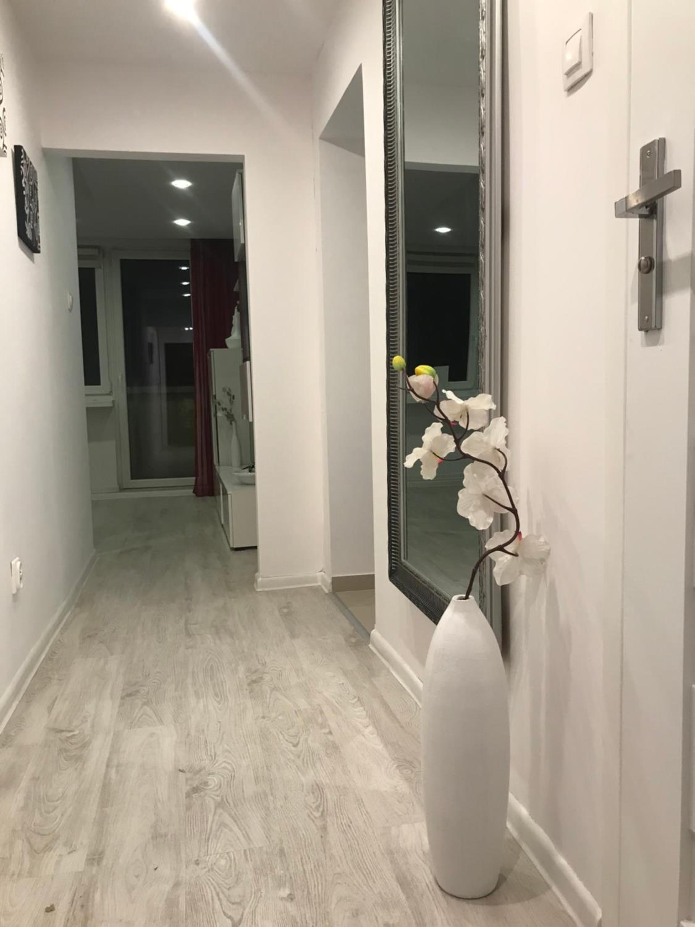 Comfortable Apartament