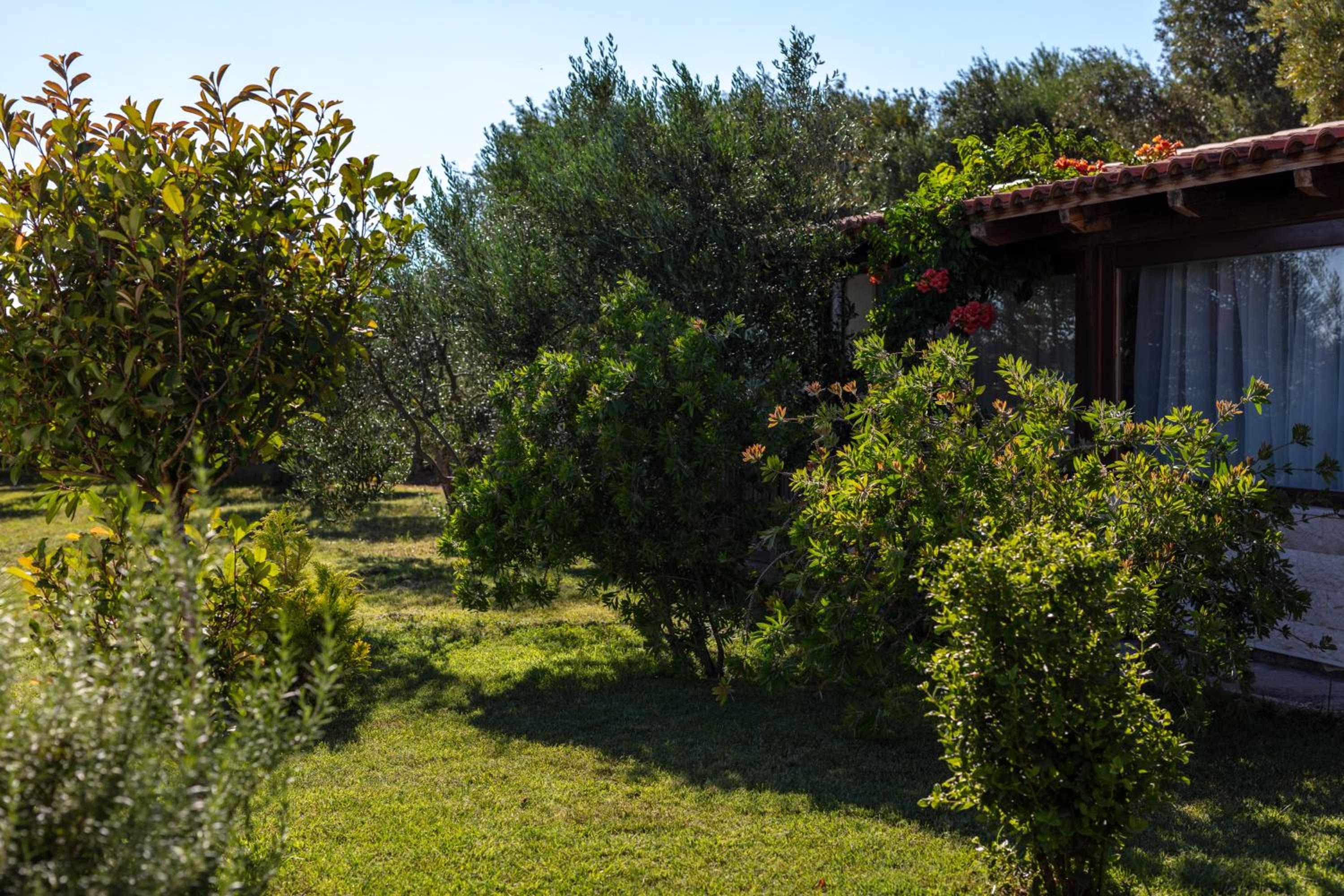 Photo 47