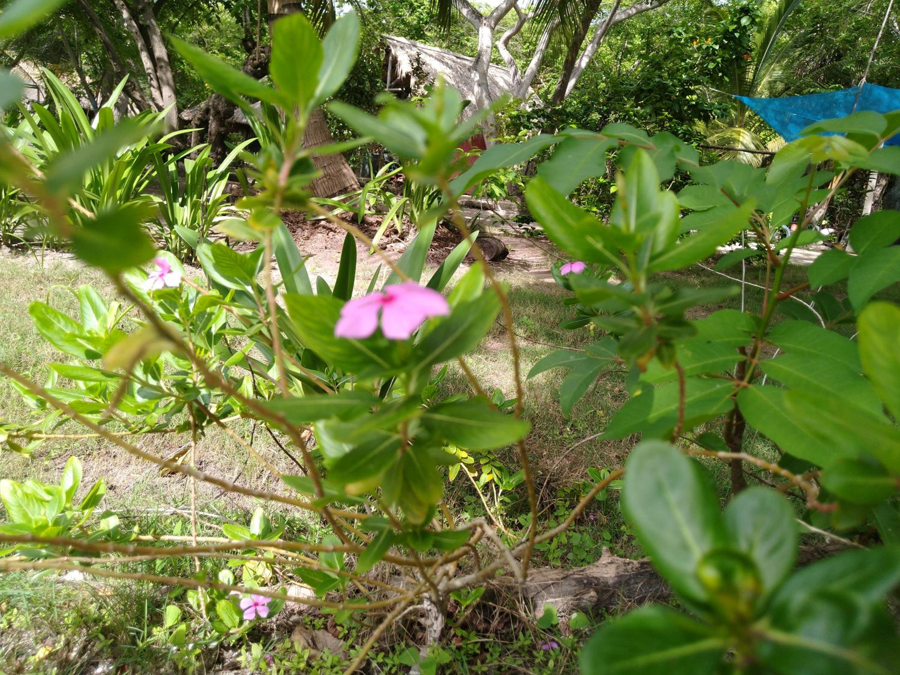 Photo 37