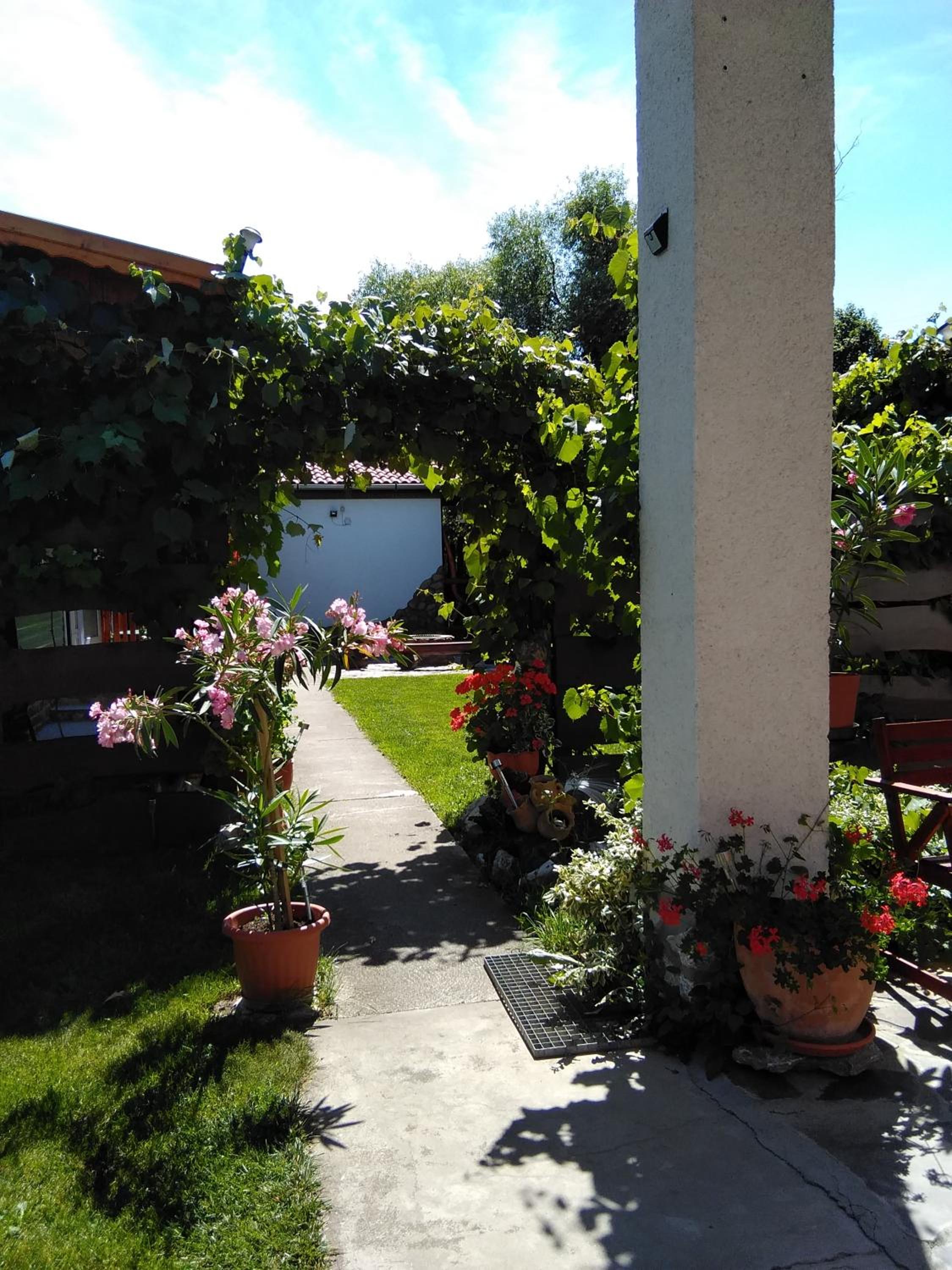 Photo 38