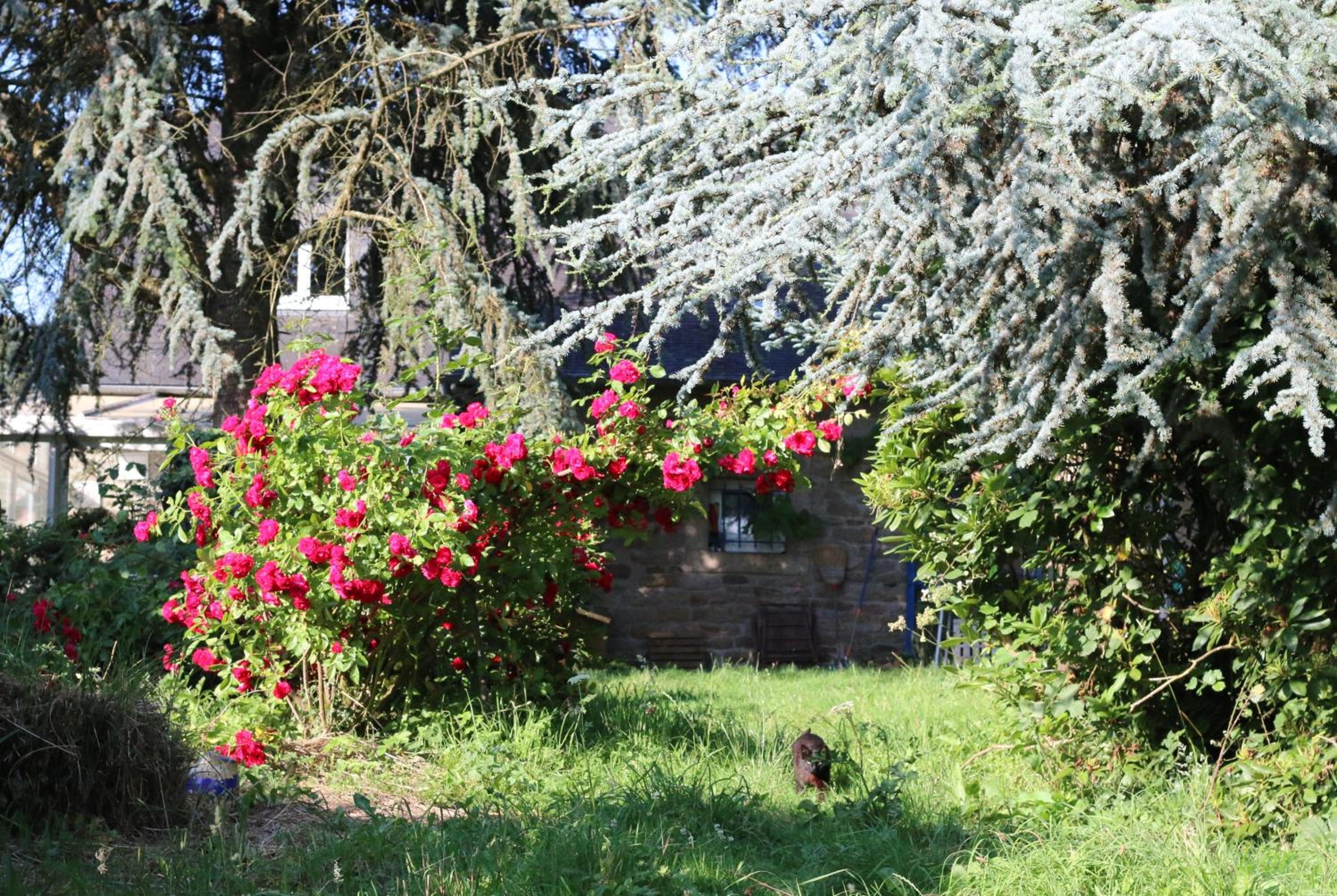 Photo 8