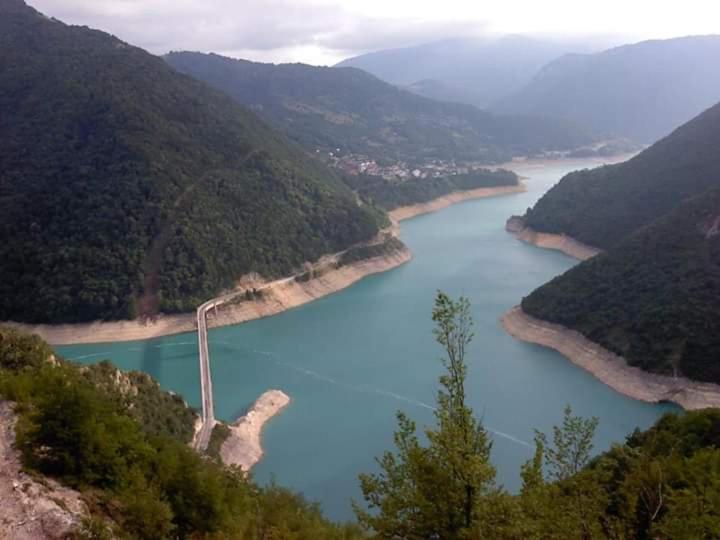Photo 42