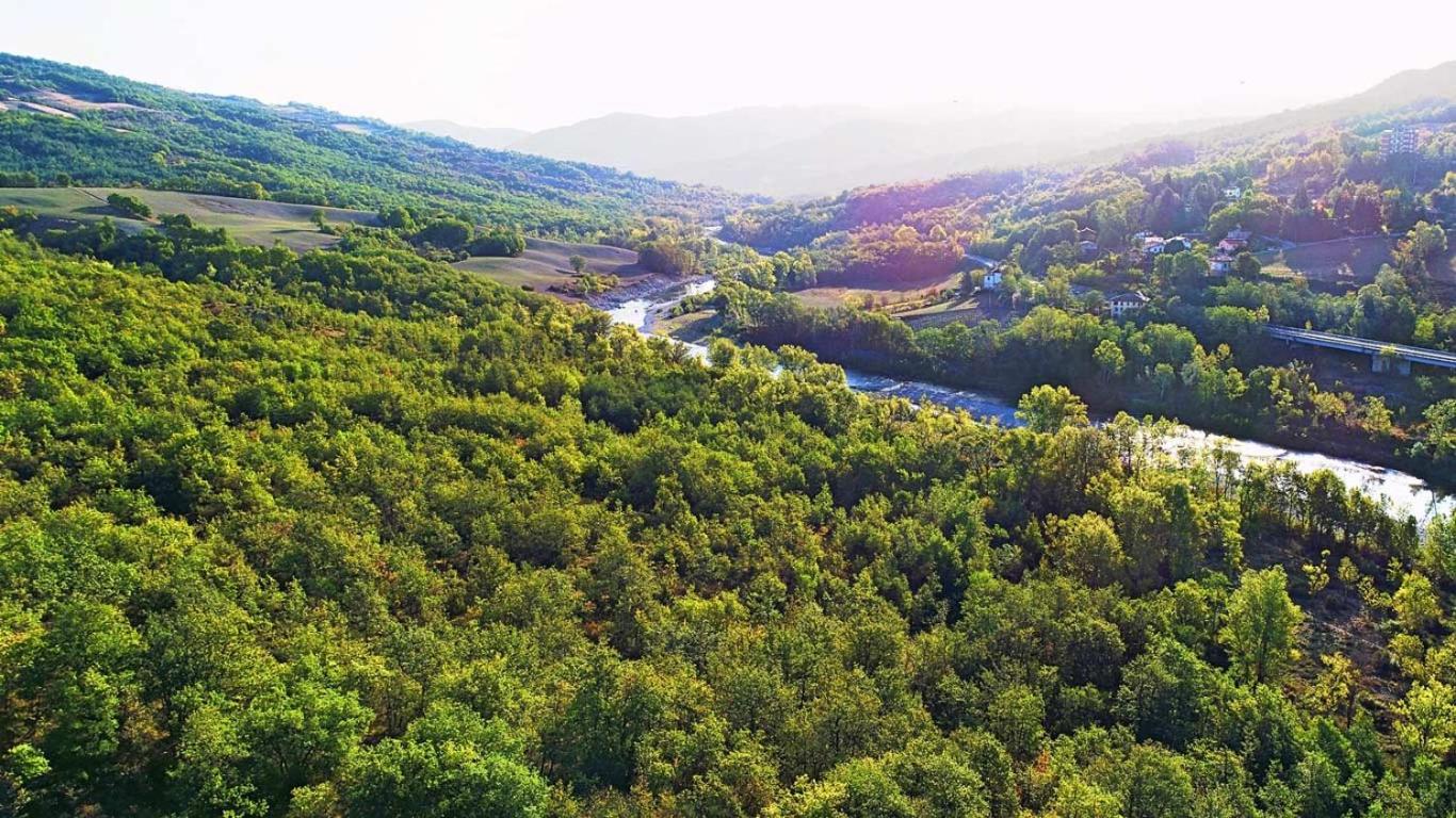 Agriturismo Ca' del Sartu