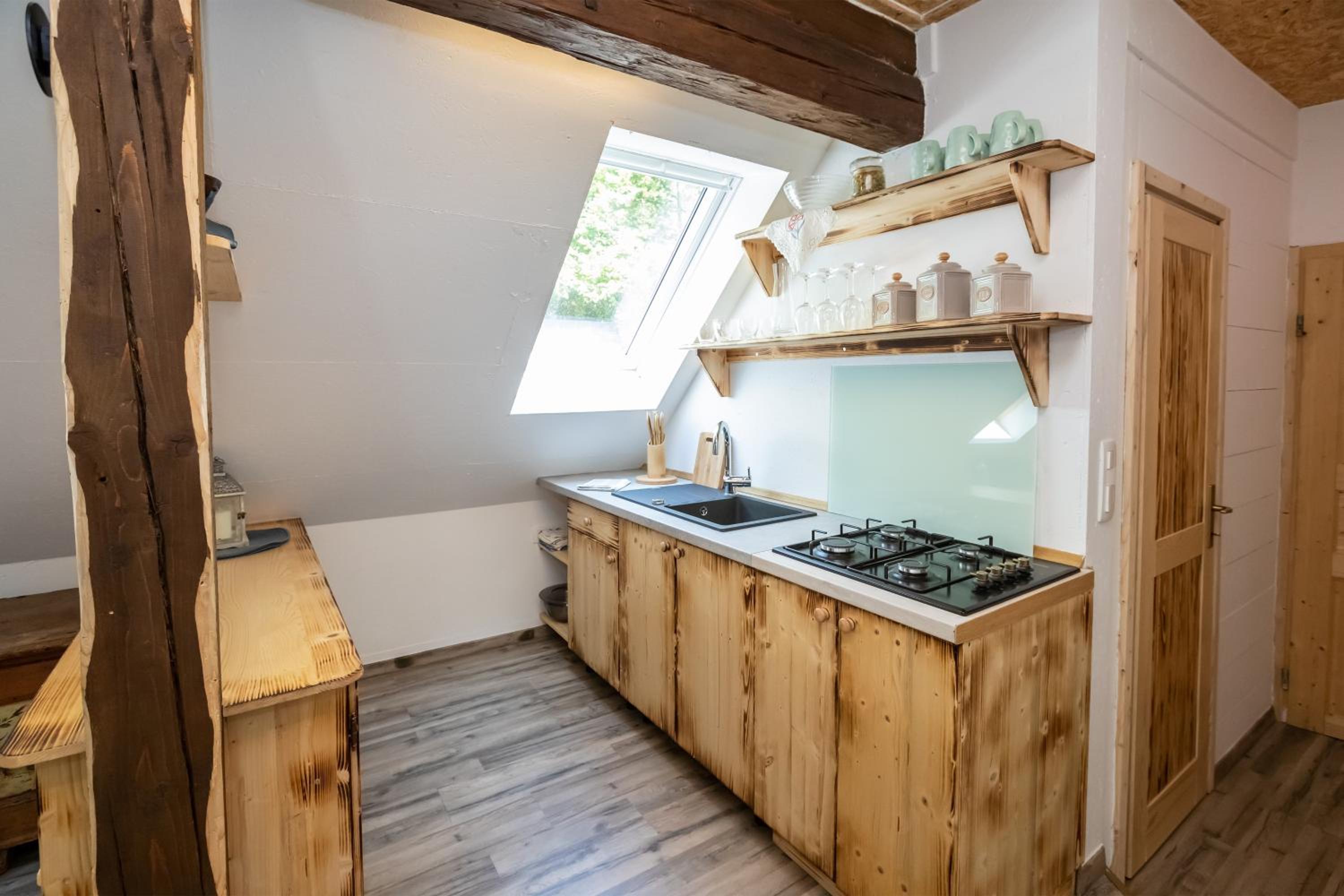 Apartma waterfall Slap