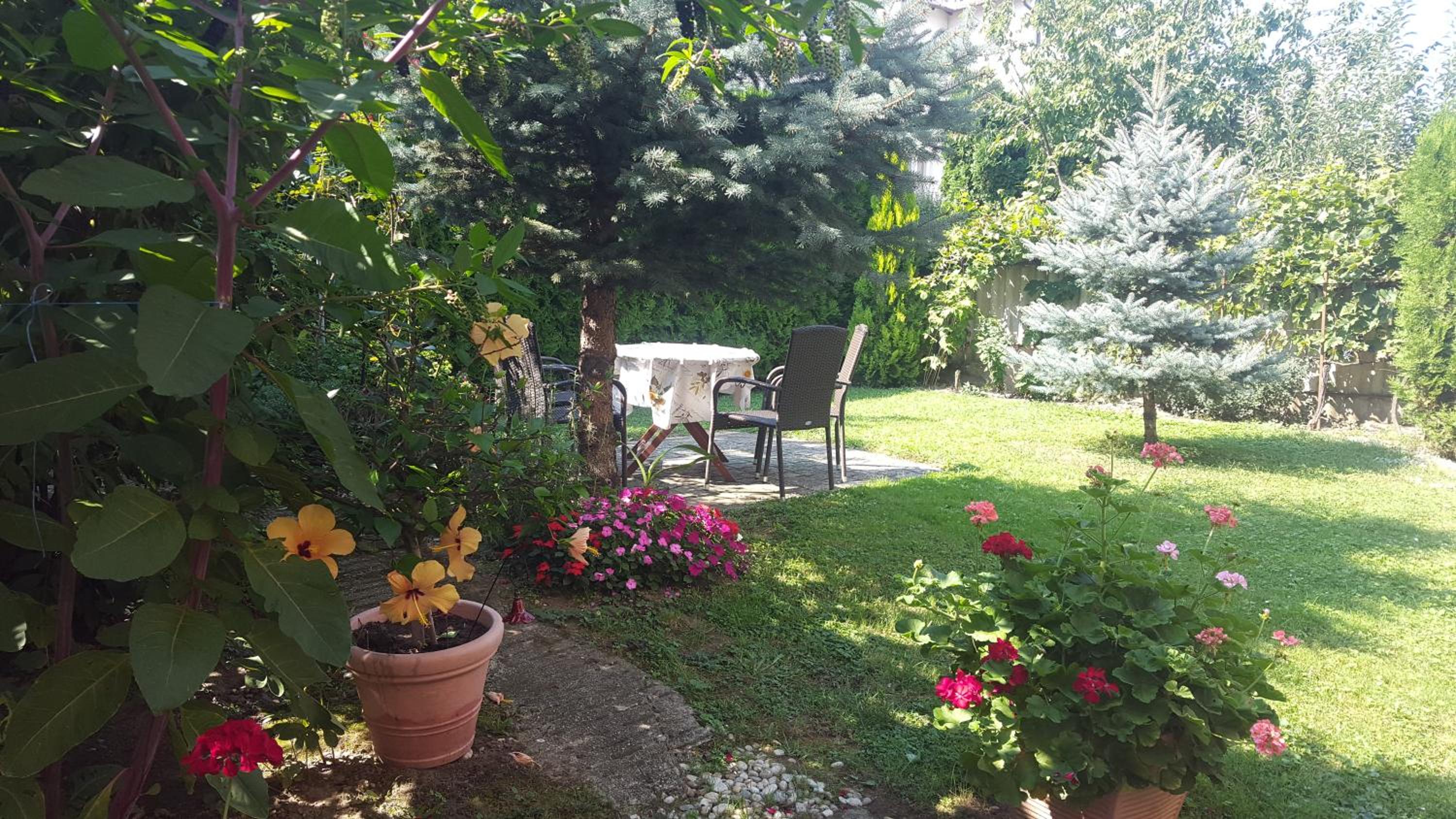 Lázár Apartmanok view 2