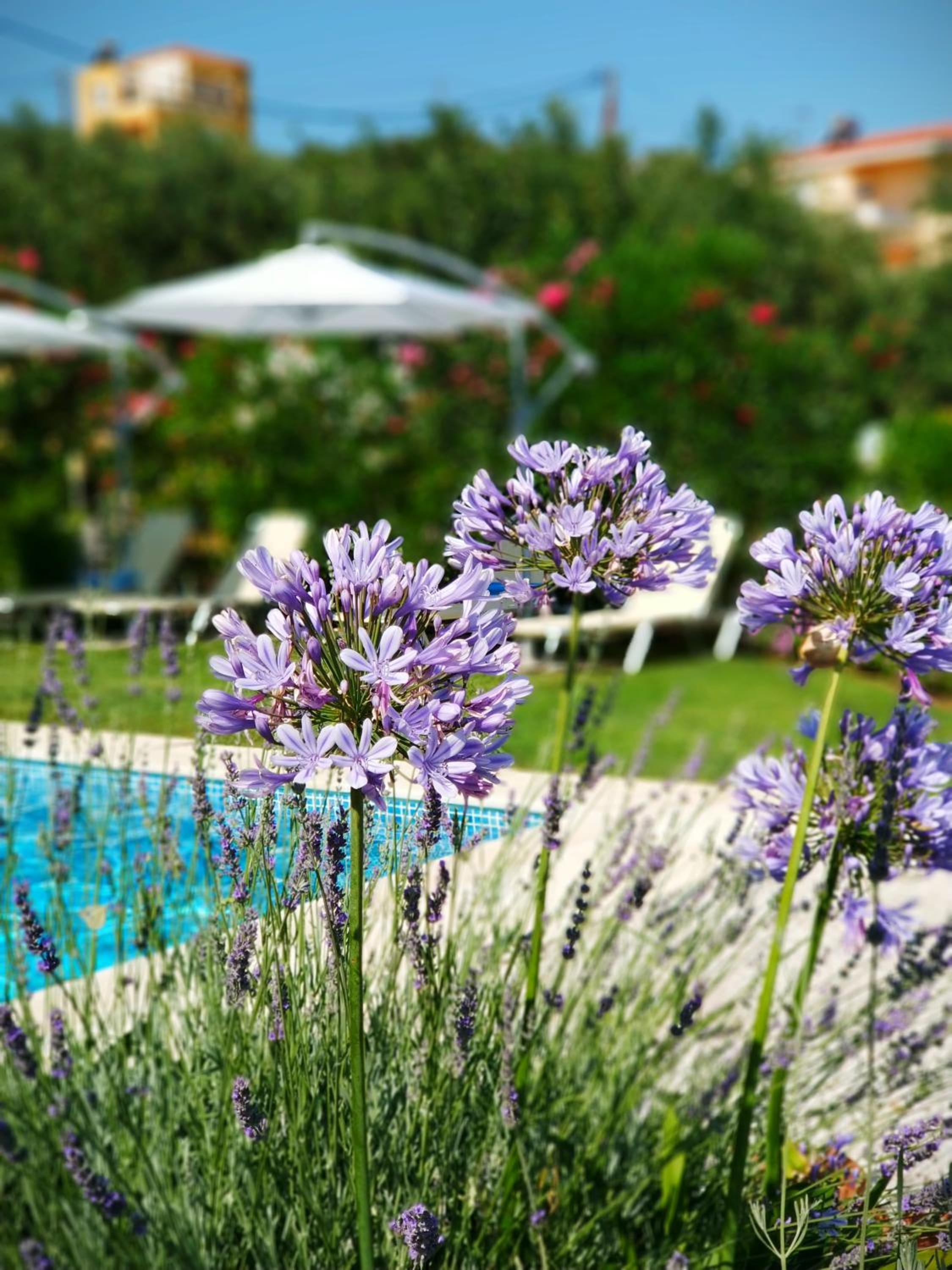 Villa Gaia