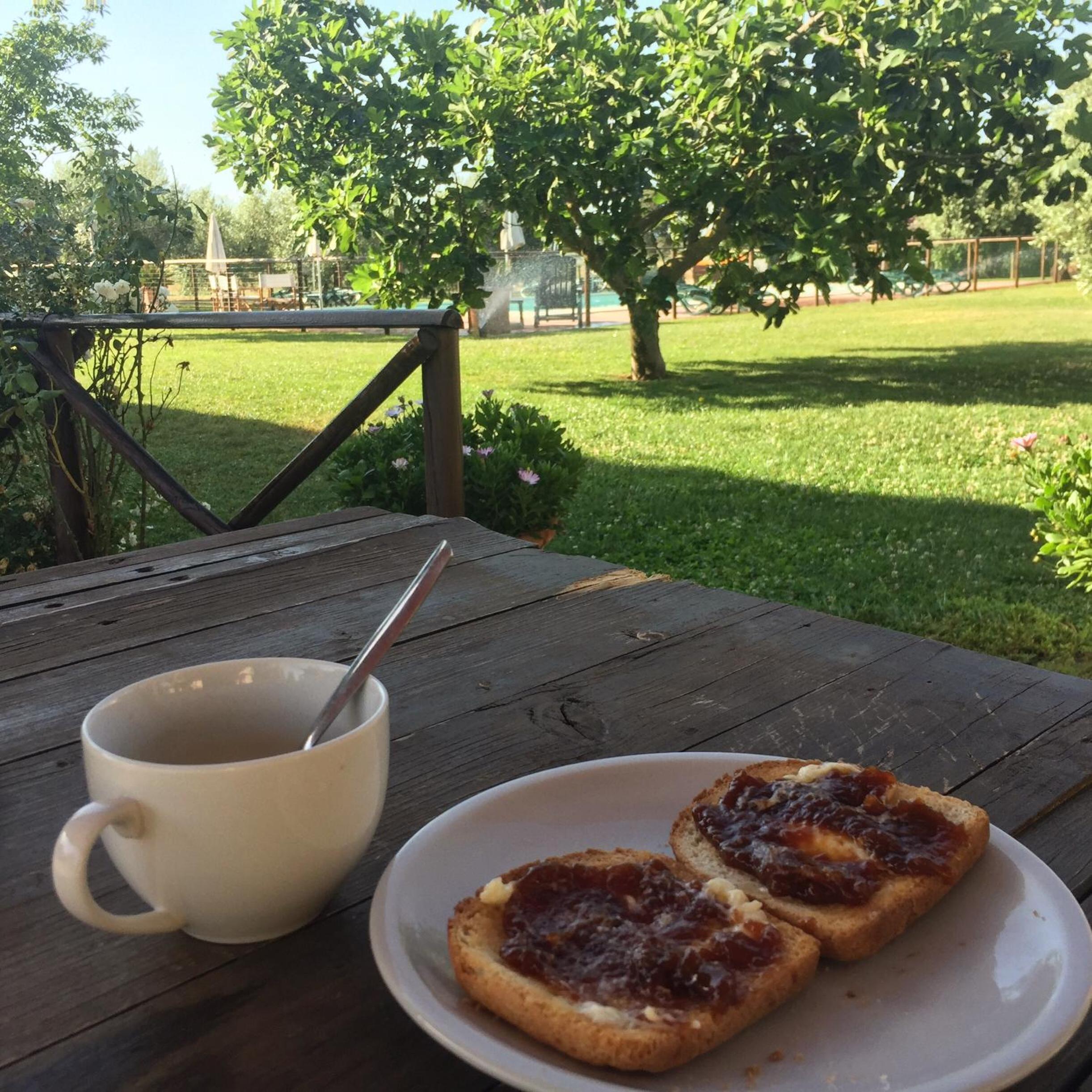 Agriturismo Il Puntoncino