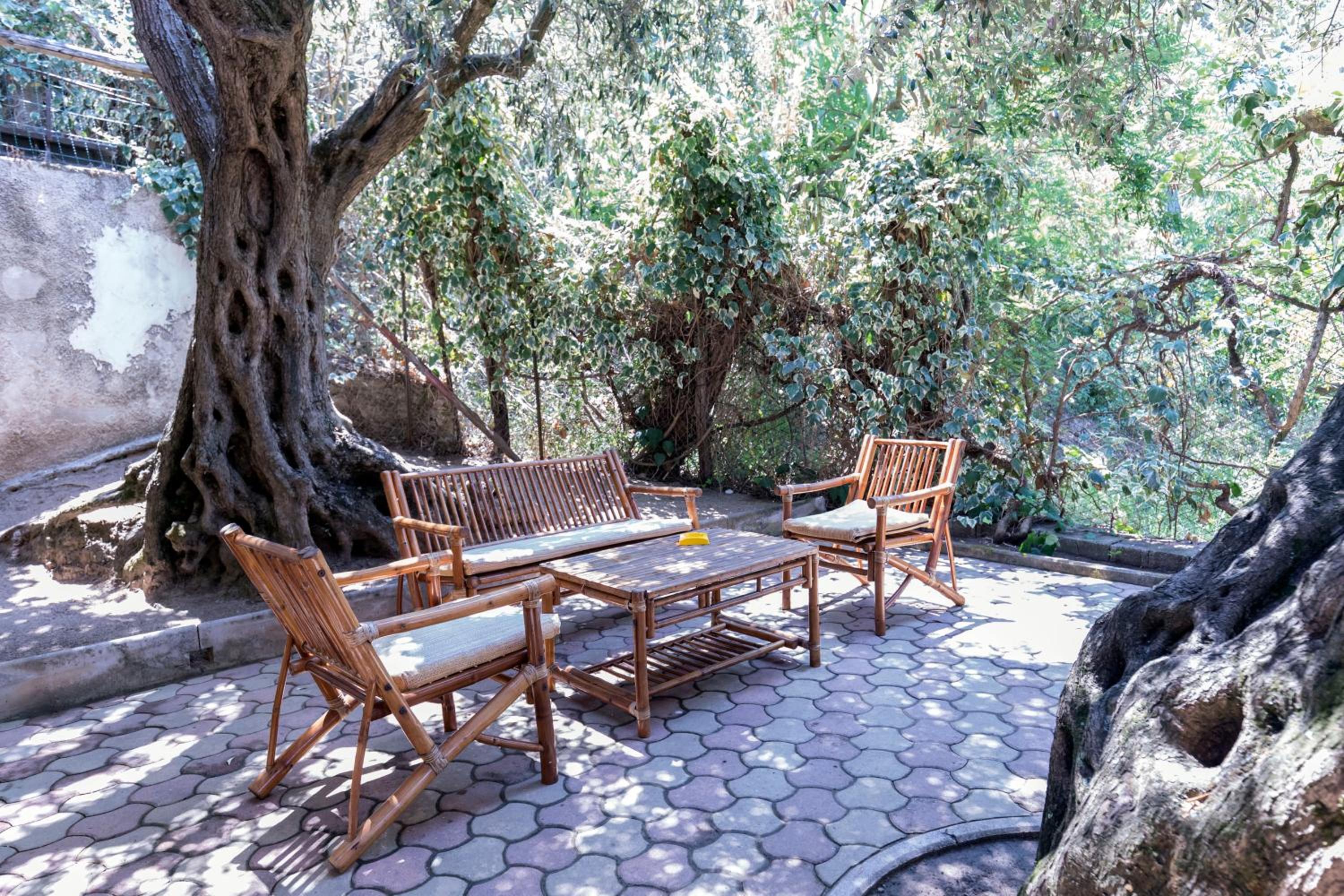 Outdoor Space