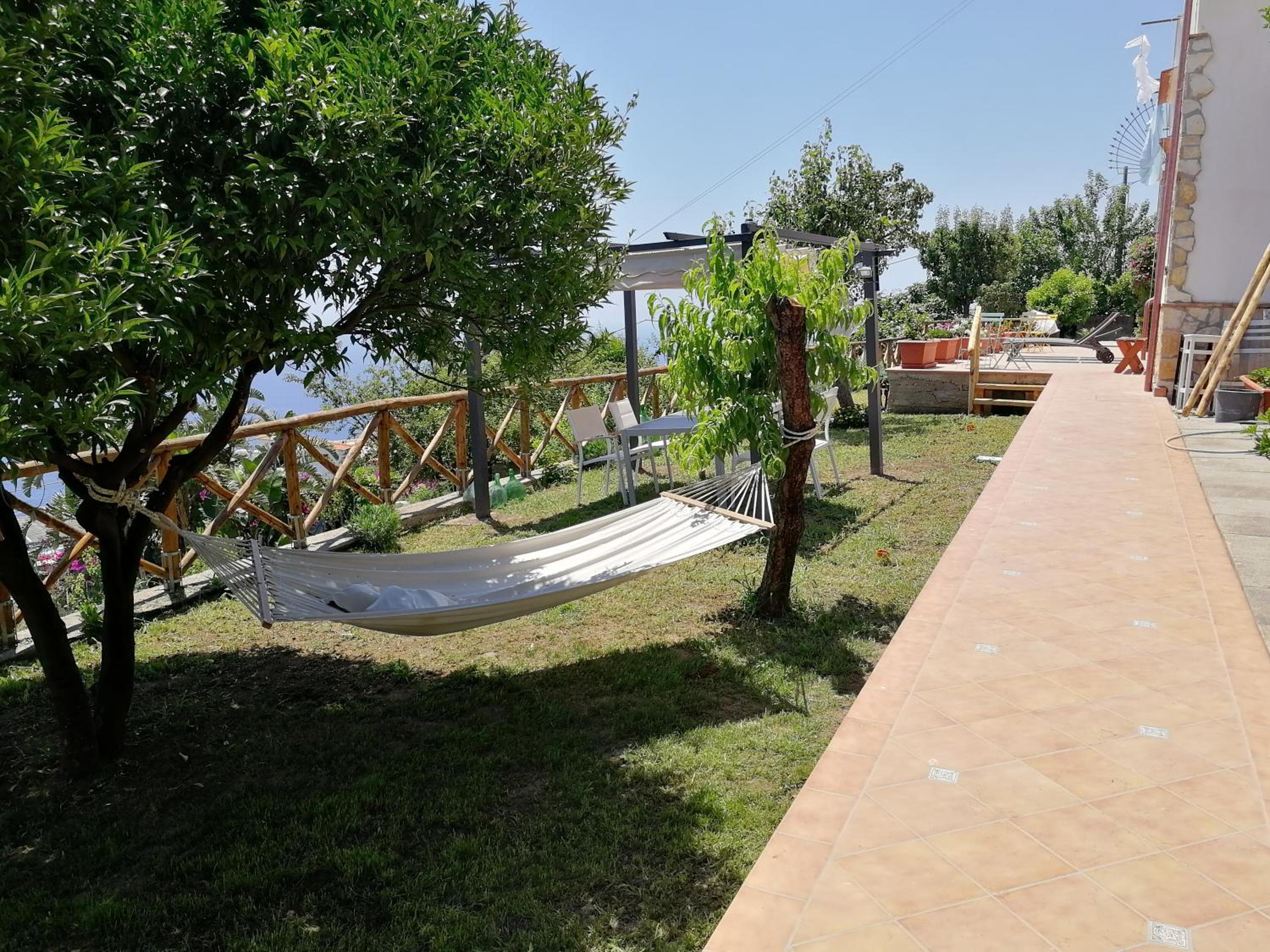 Photo 45