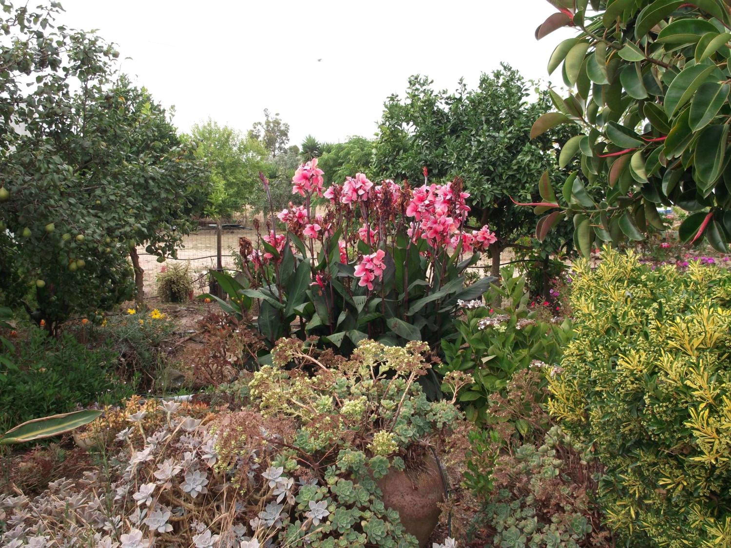 Photo 42