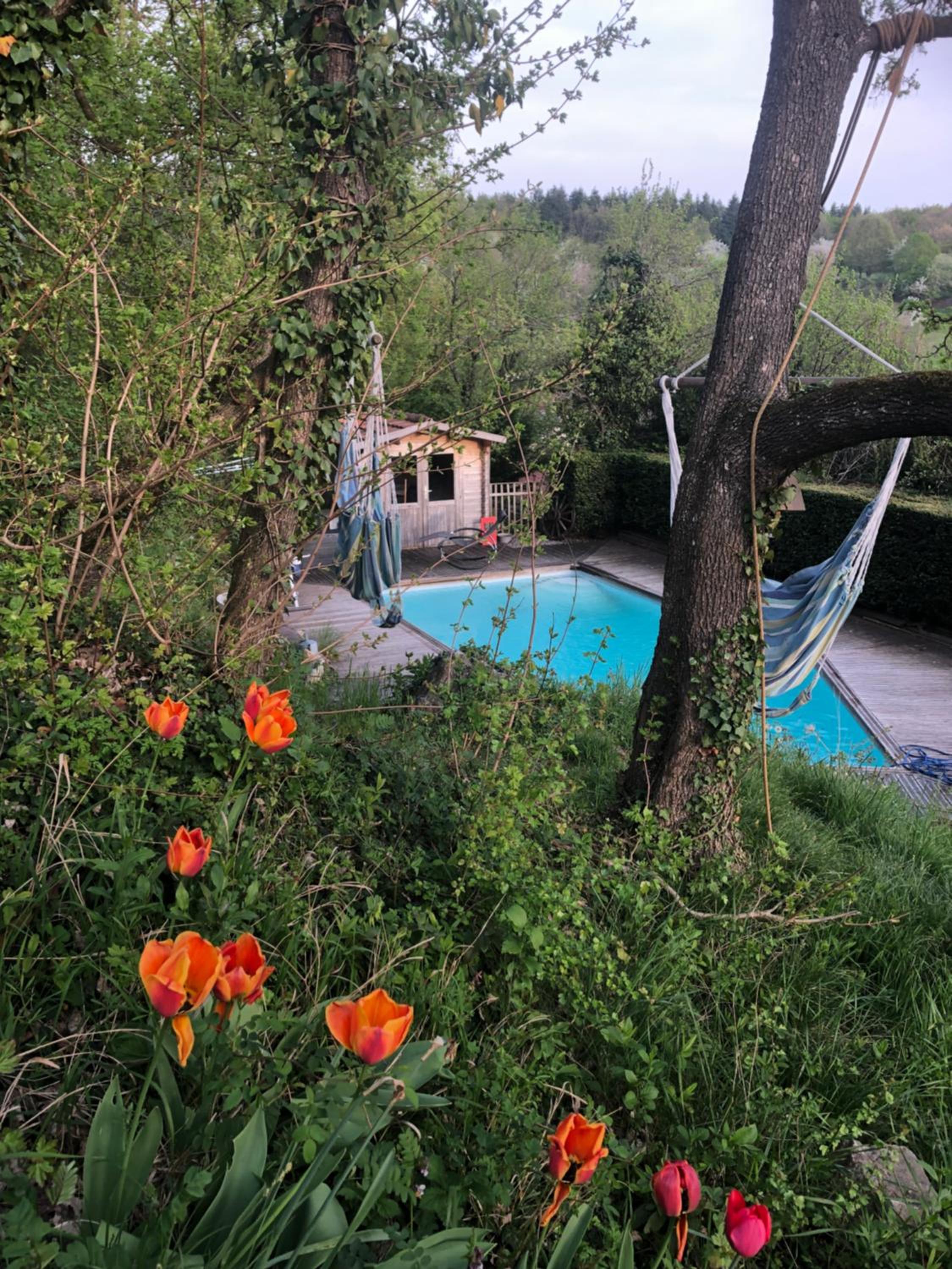 Loft "Home, Sauna & Pool" view 4