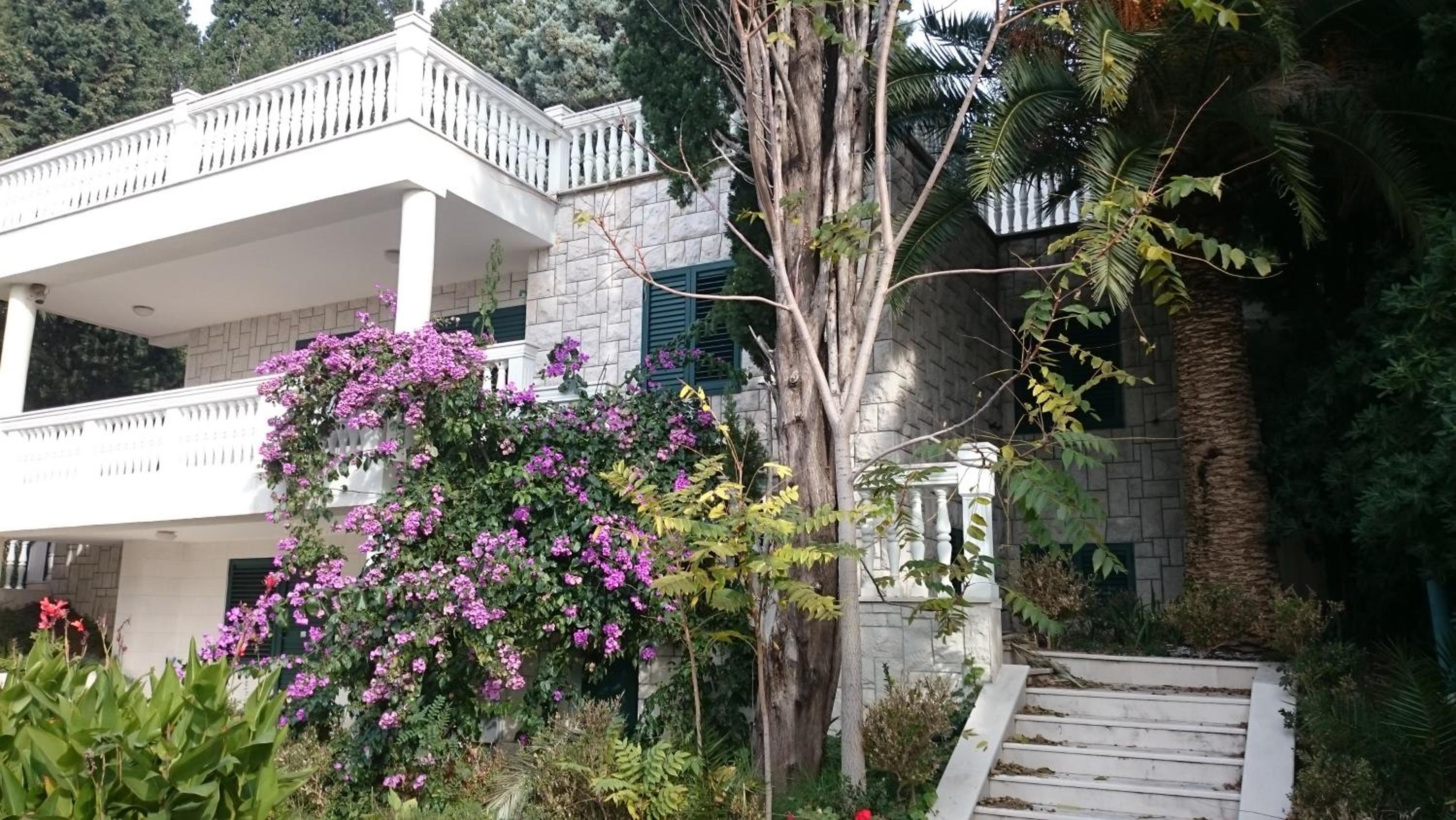 Hotel Bg Villa Apartment Xl