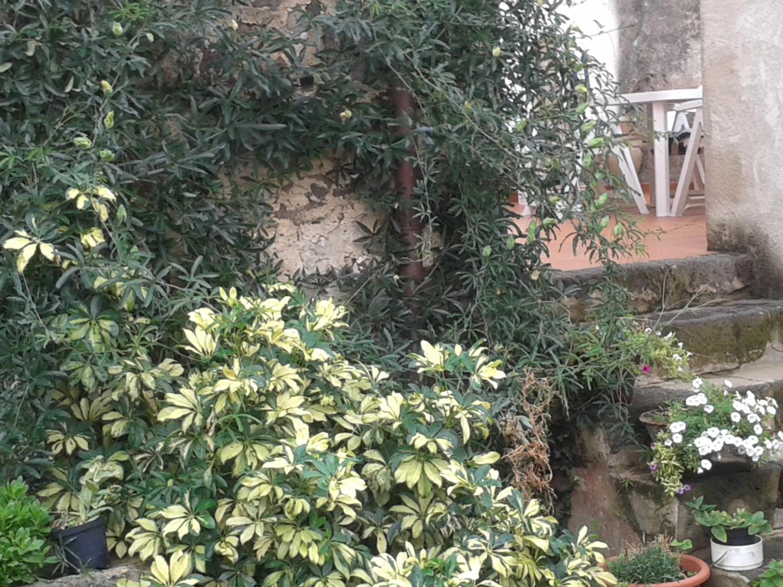 Bed & Breakfast Casa Pisanu