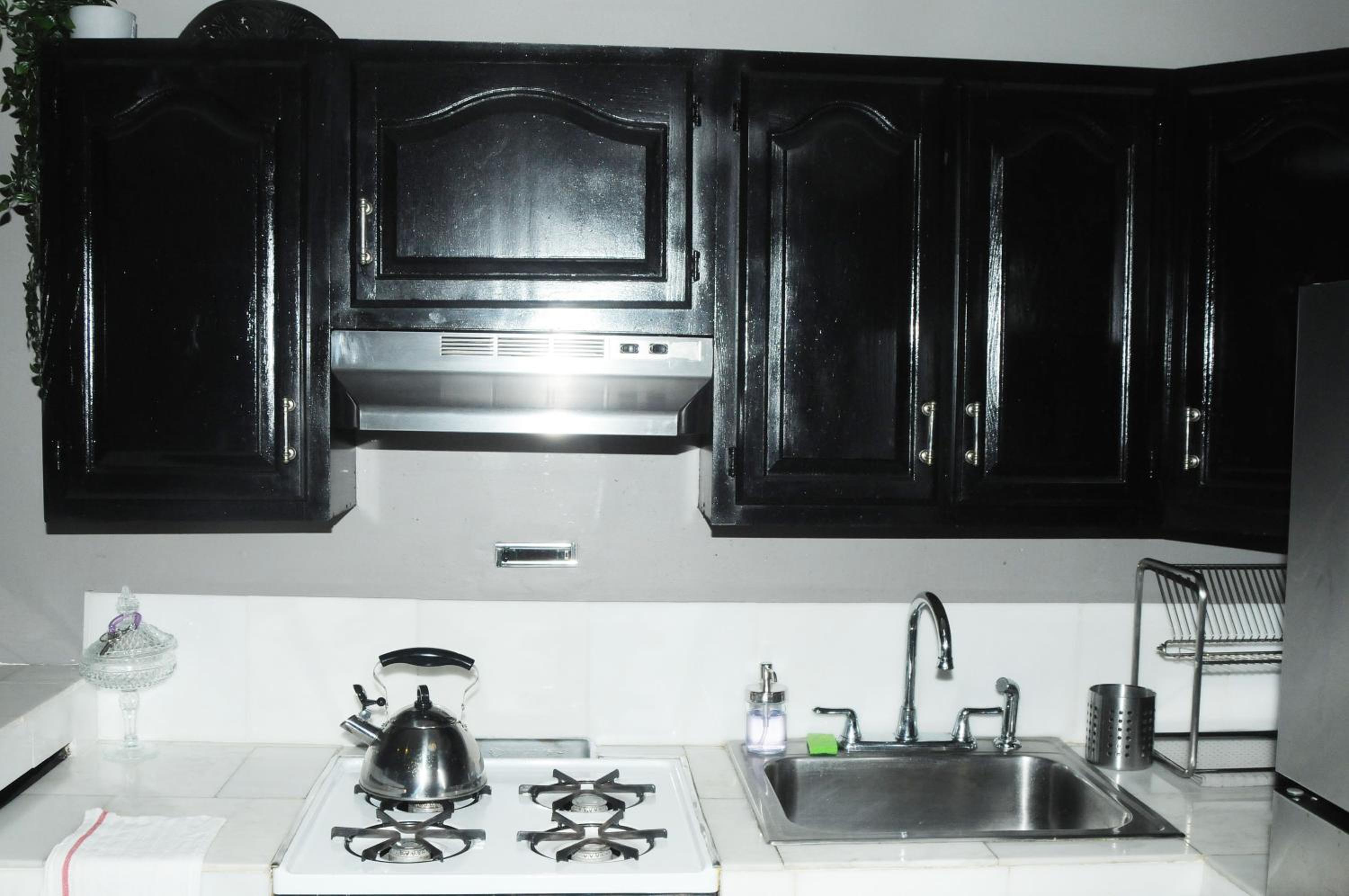Plush Spacious 1 bedroom apt Williamsburg view 4