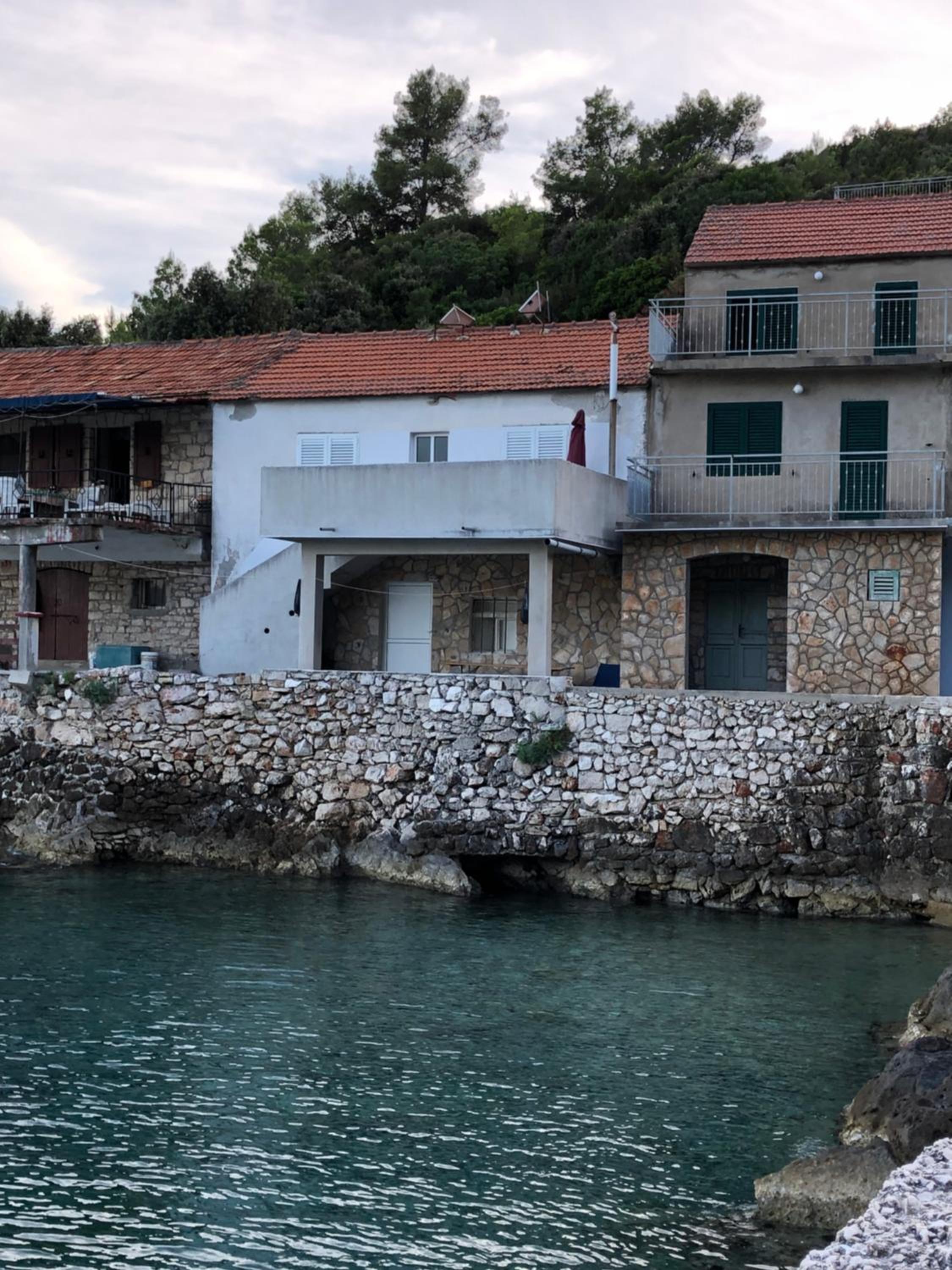 The White house robinson Gdinj Hvar view 3