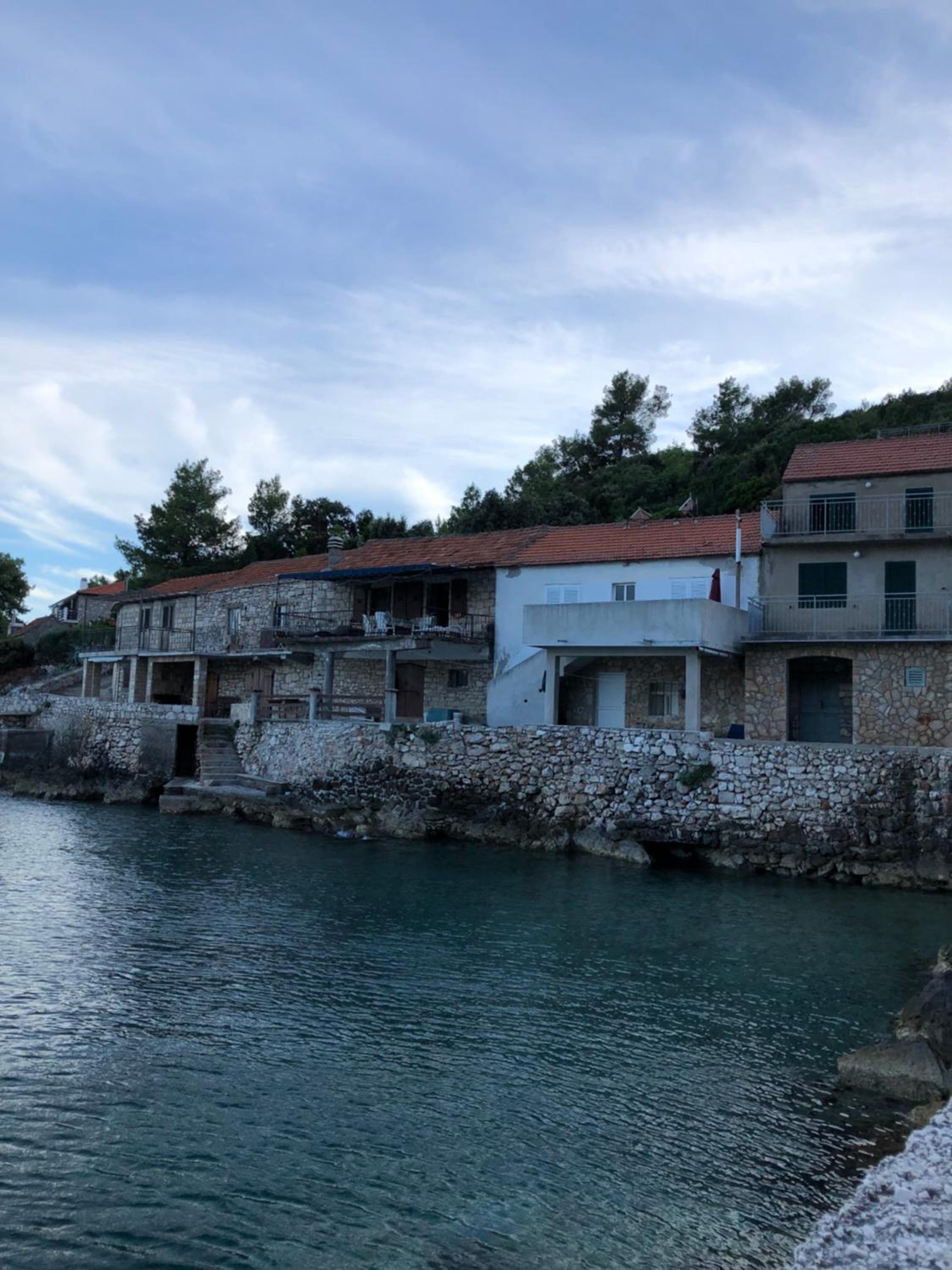 The White house robinson Gdinj Hvar view 2