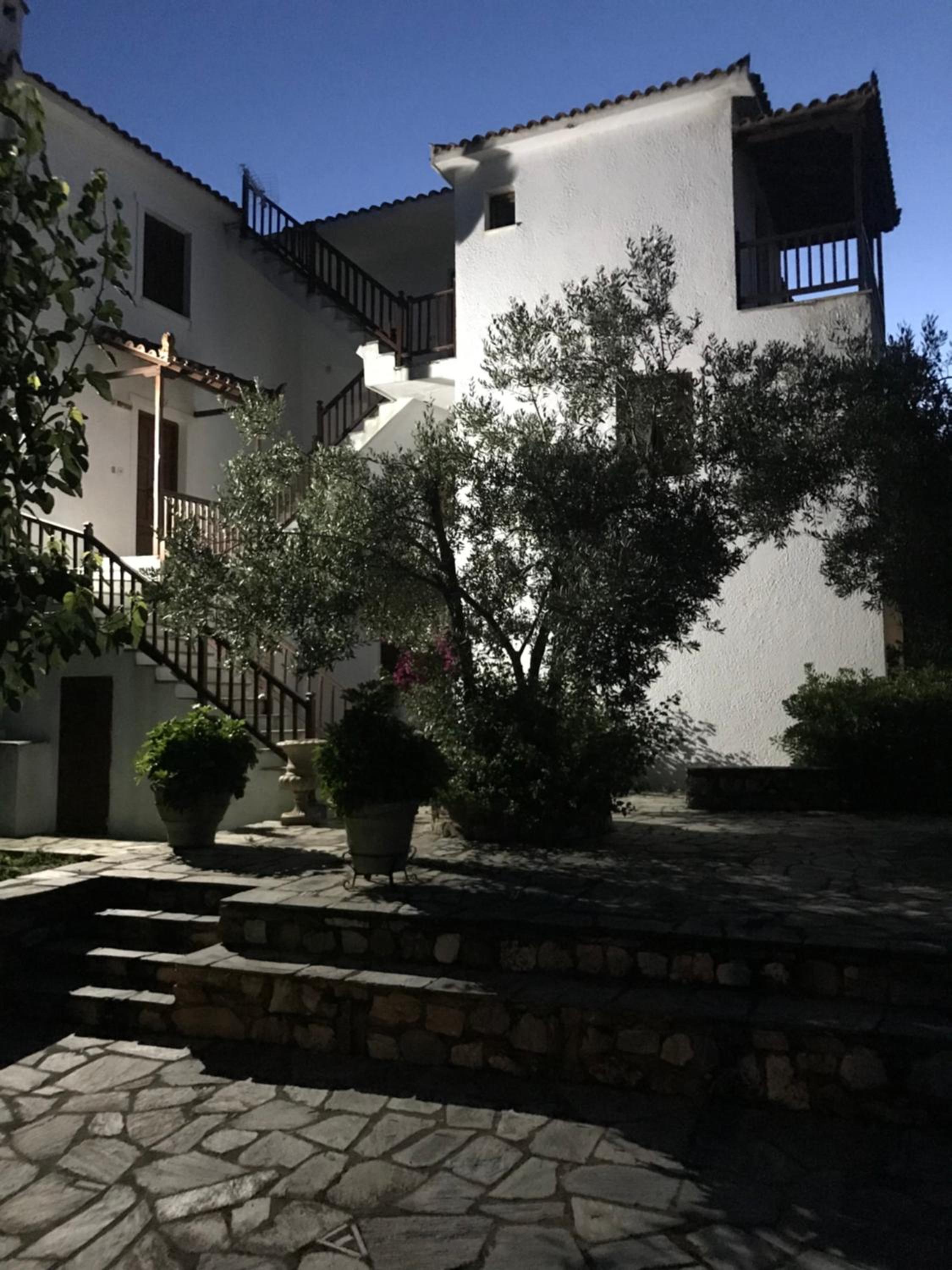 Photo 41