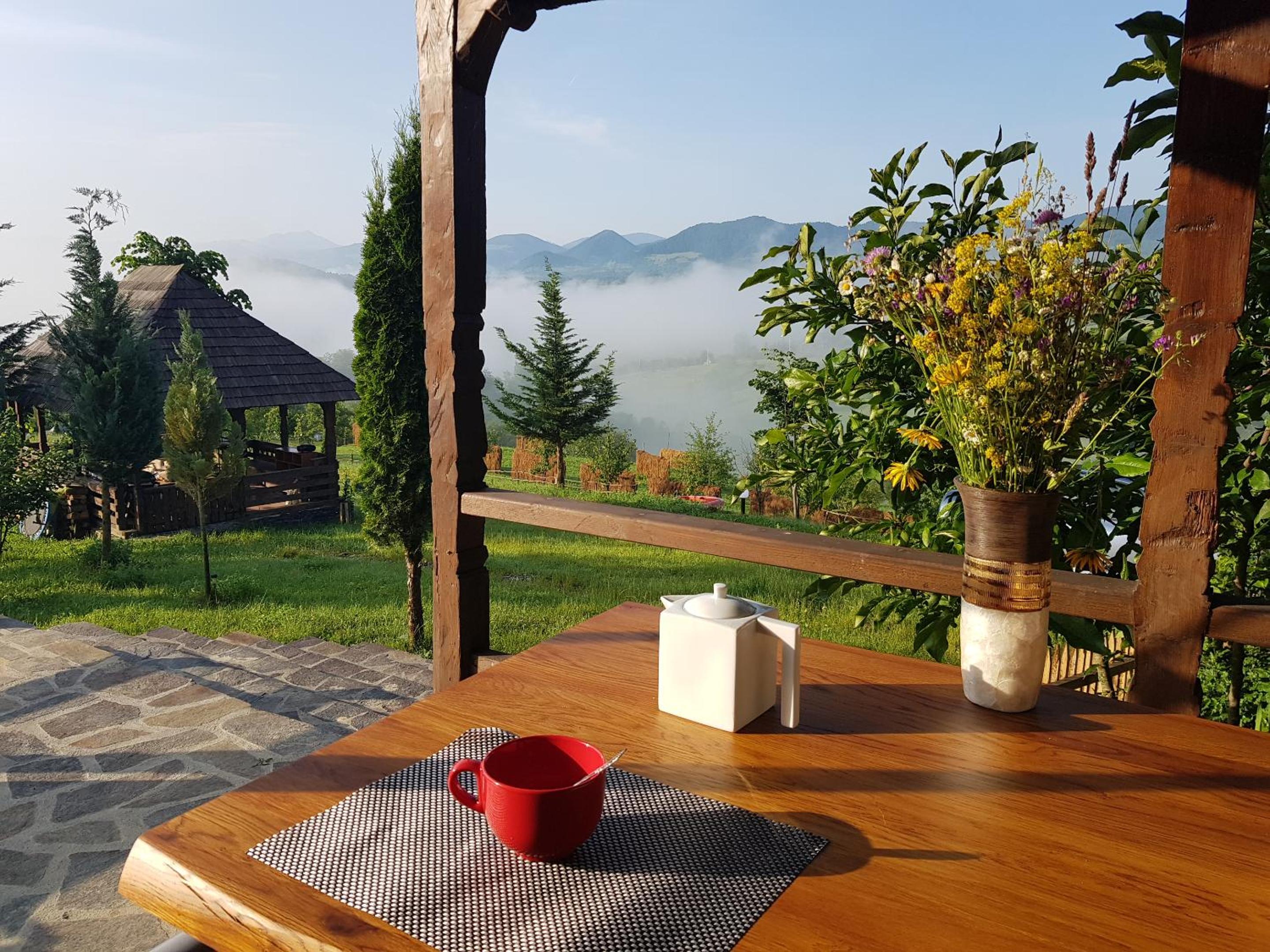 Ninga Rai view 4