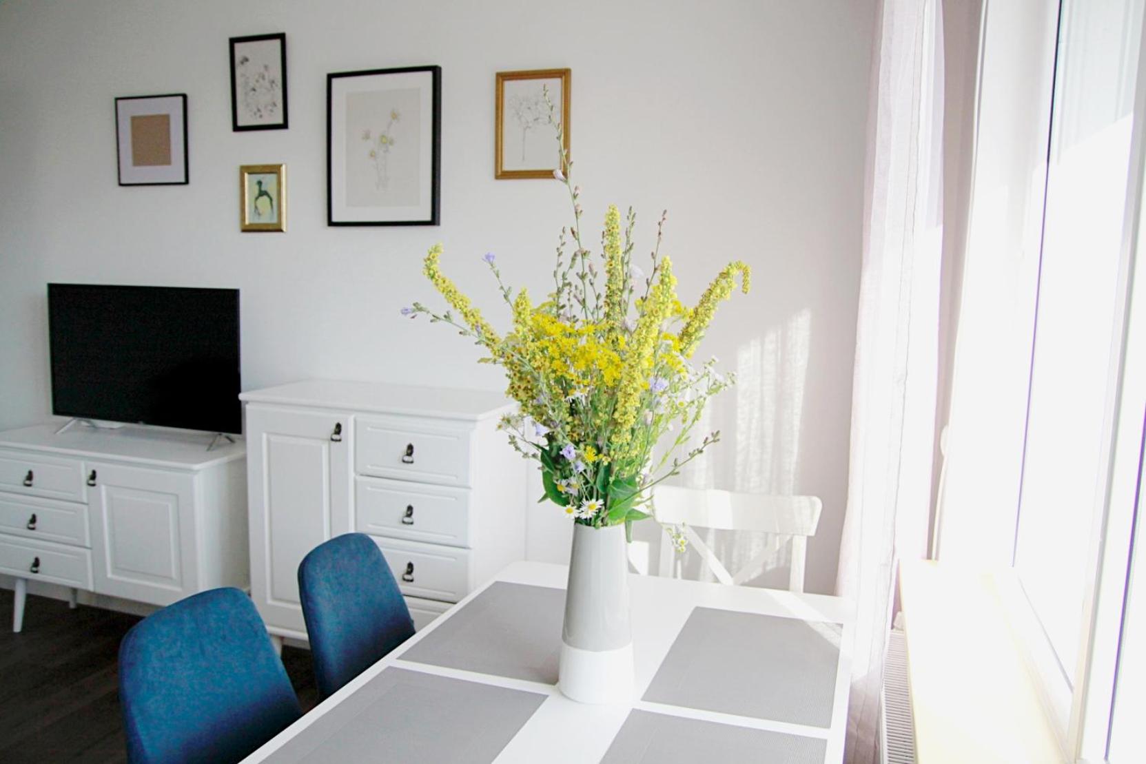 Apartament Flauta view 5
