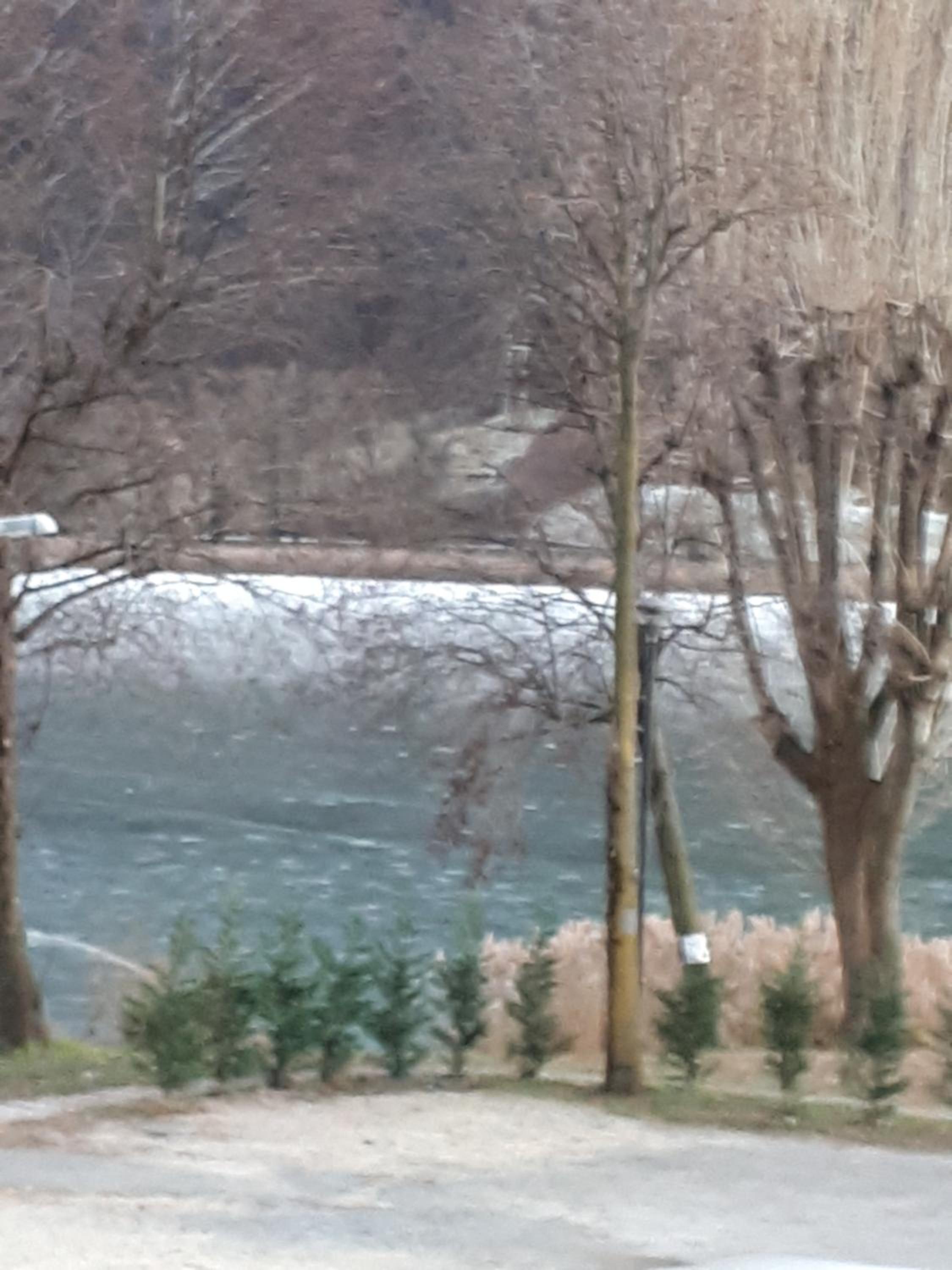 Un nido sul lago