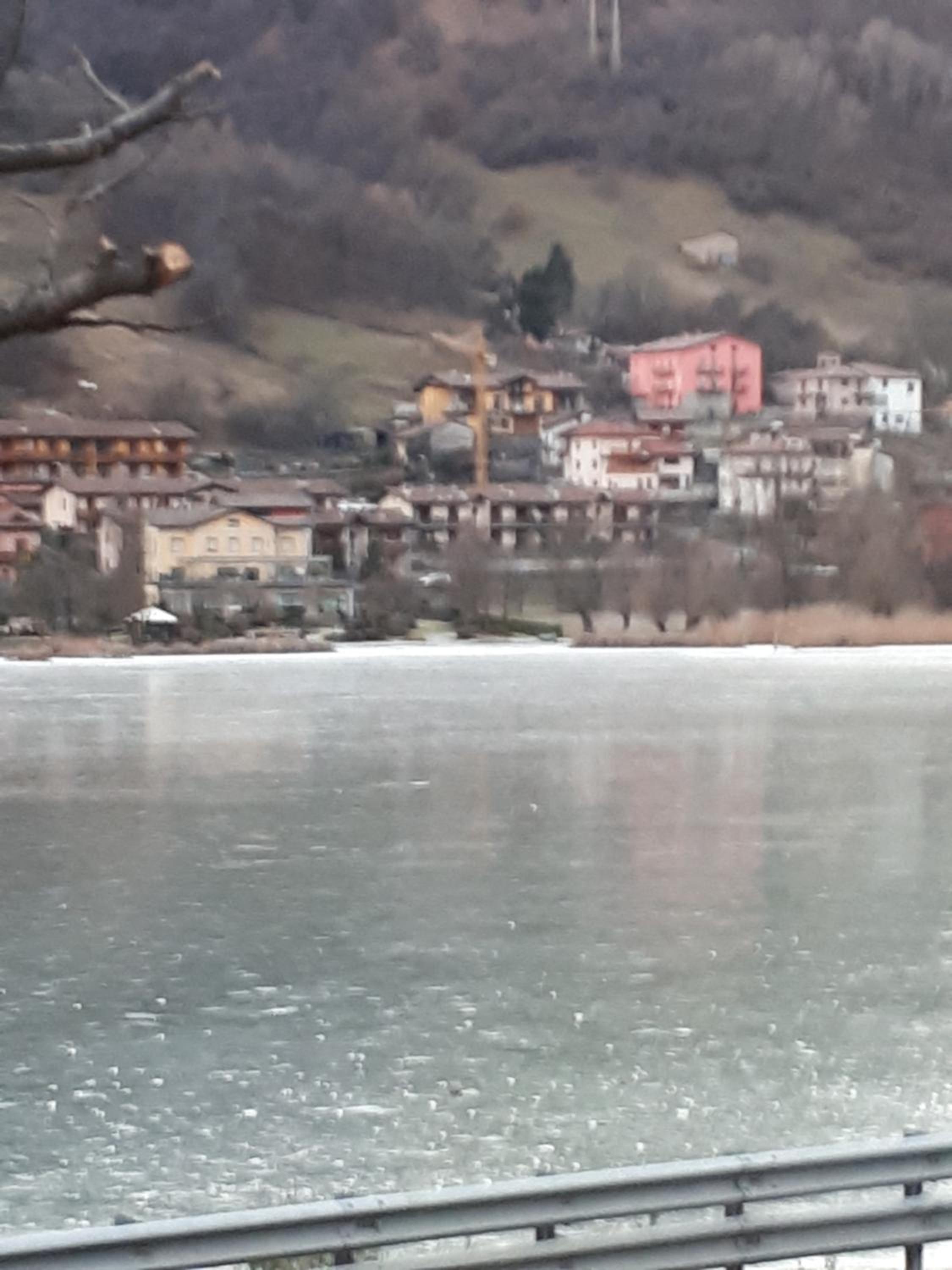 Un nido sul lago