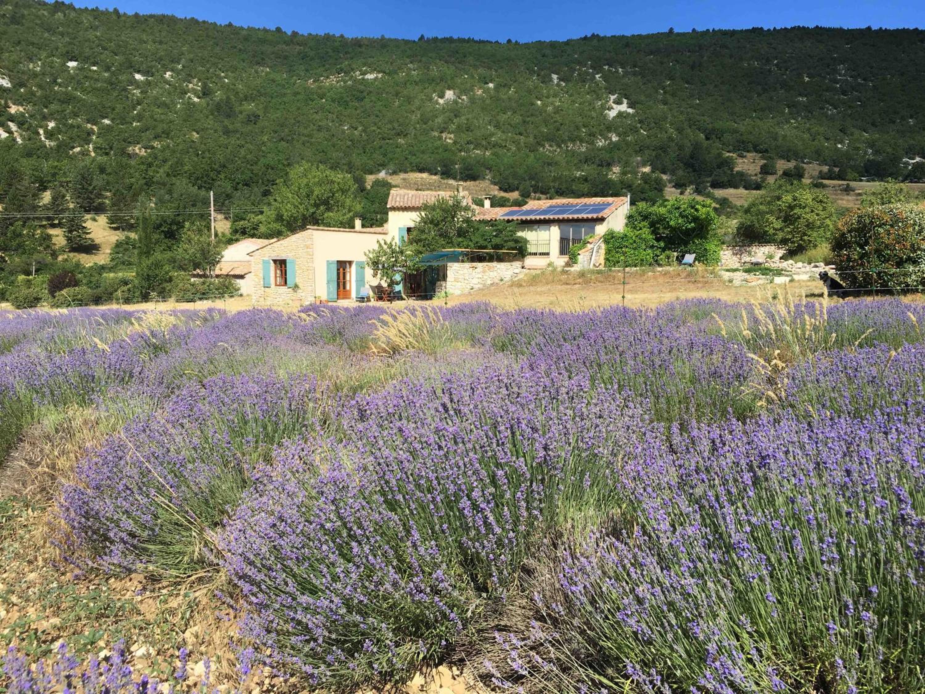Le Jas du Mont Ventoux view 4