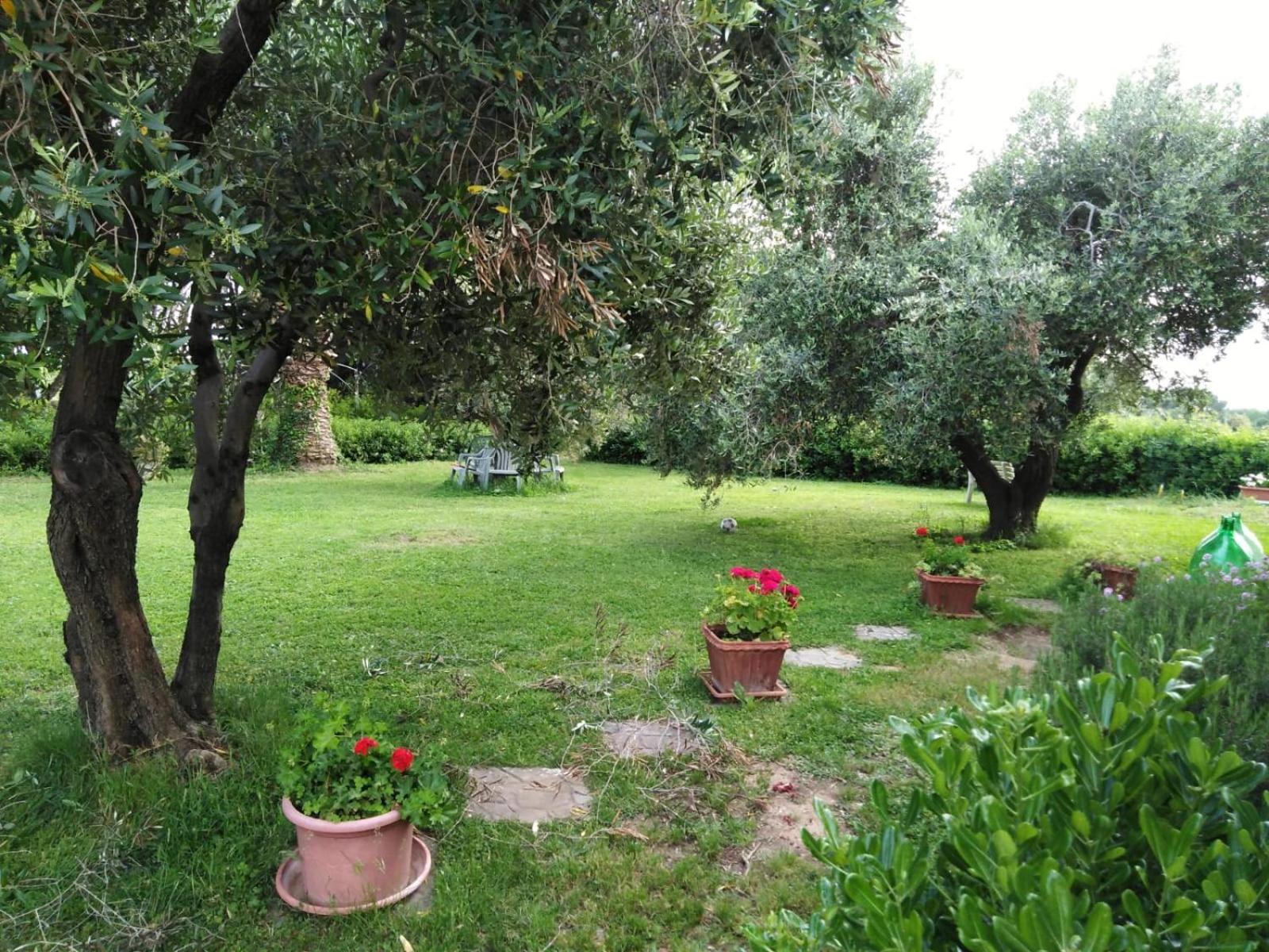 Photo 45