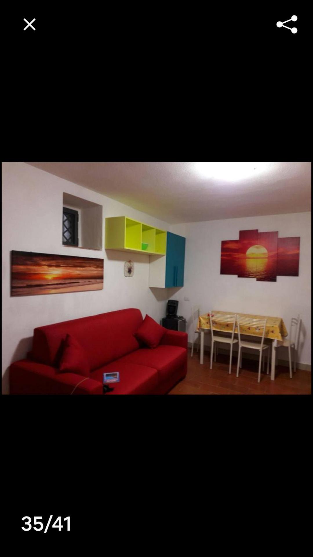MAGIA COLORATA photo 3