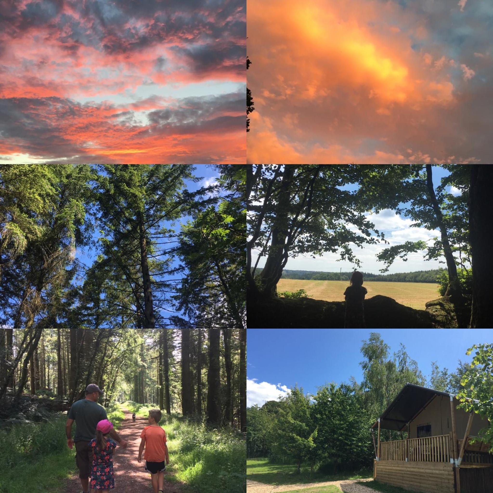 Riverwood Farm Glamping Safari Tent view 4
