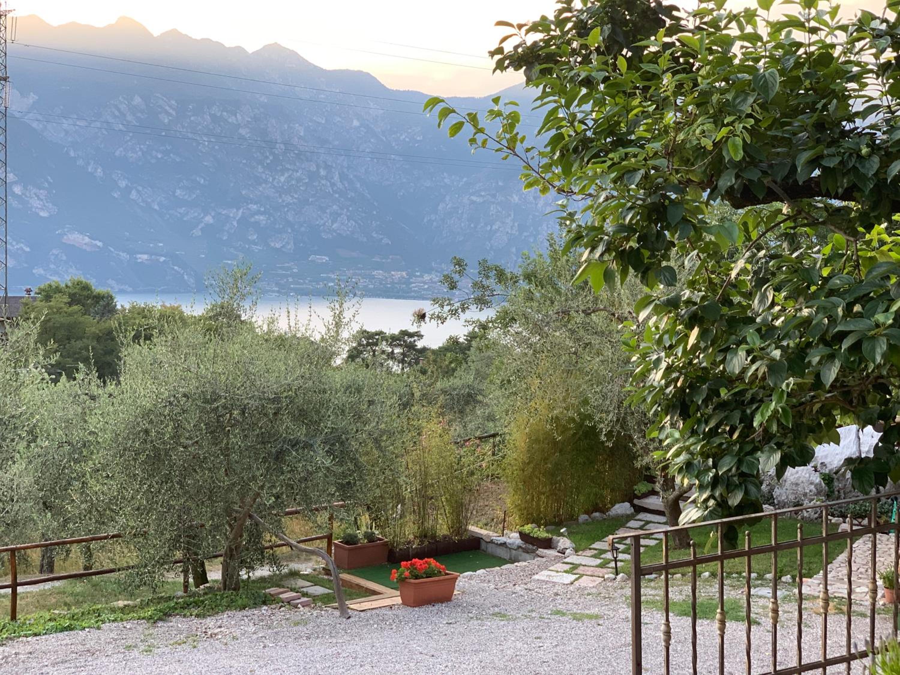 La casa nel bosco photo 3