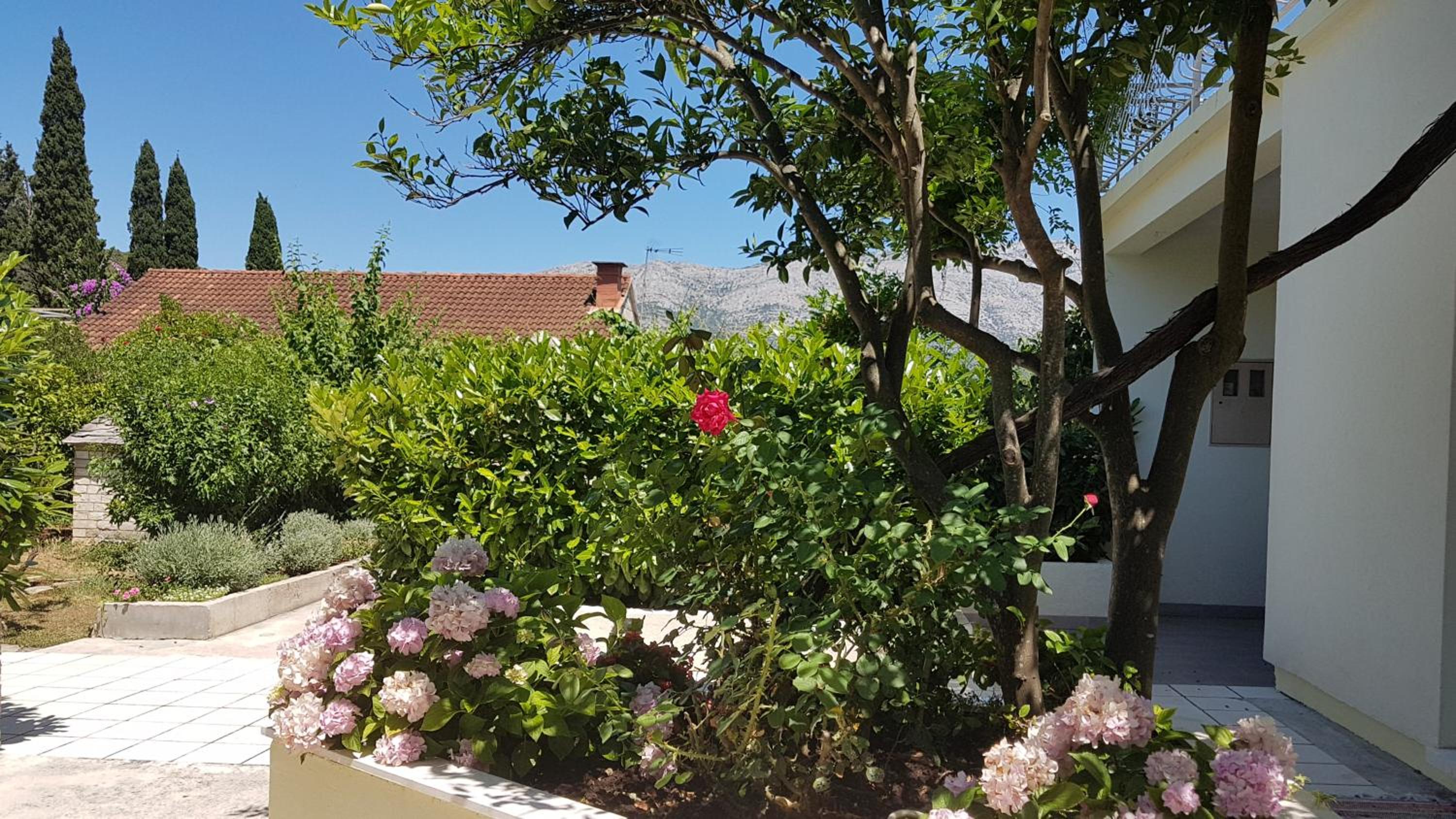 Apartman LUCIJA