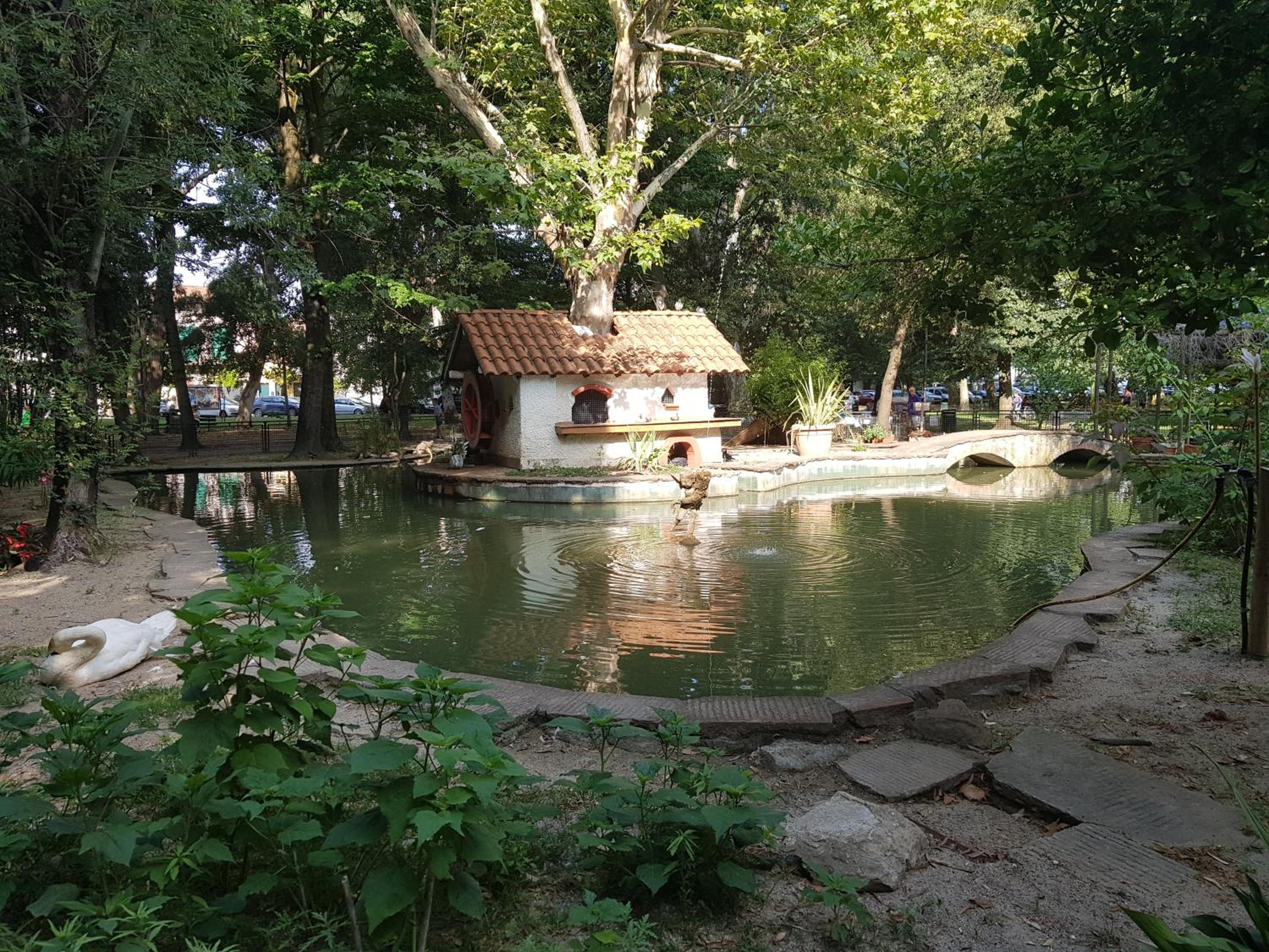 Photo 36