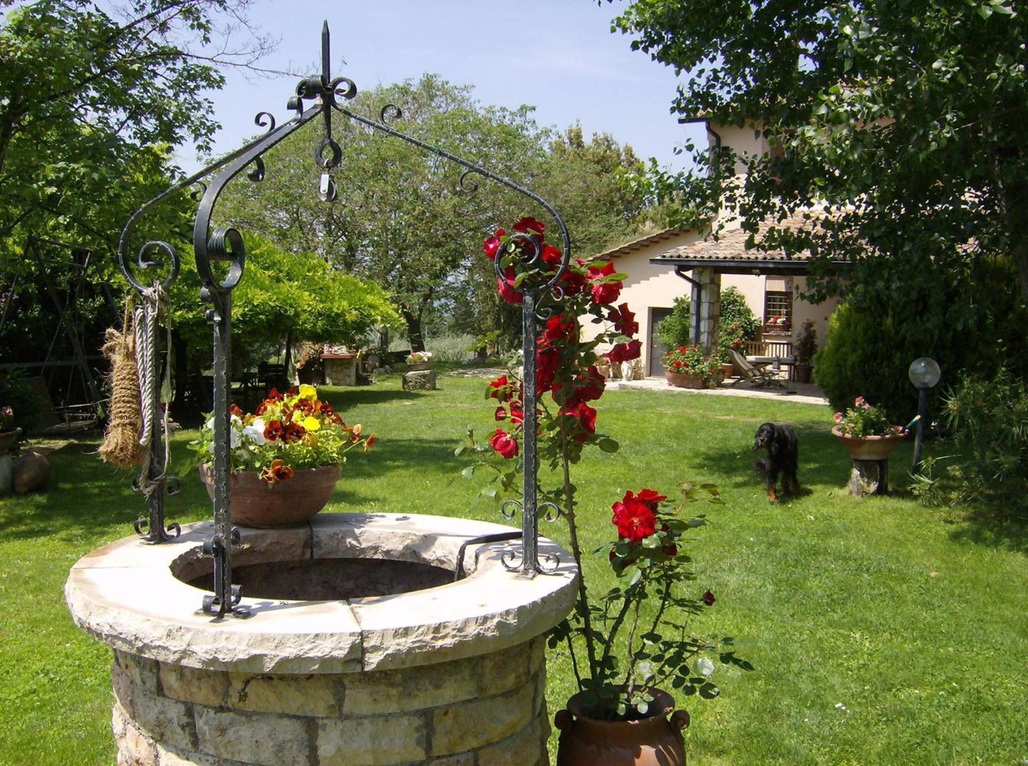 Photo 43