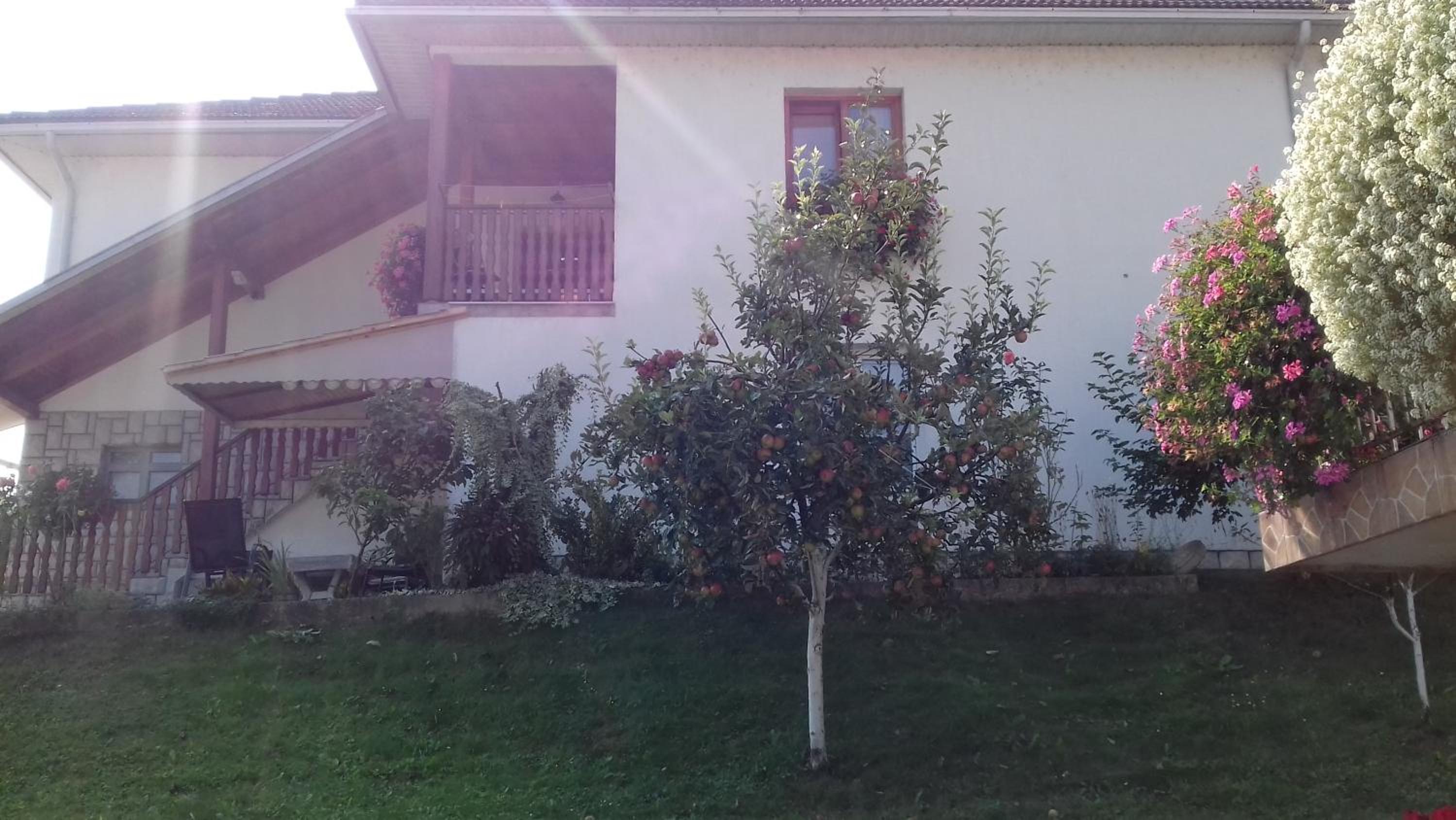 Rooms Maria