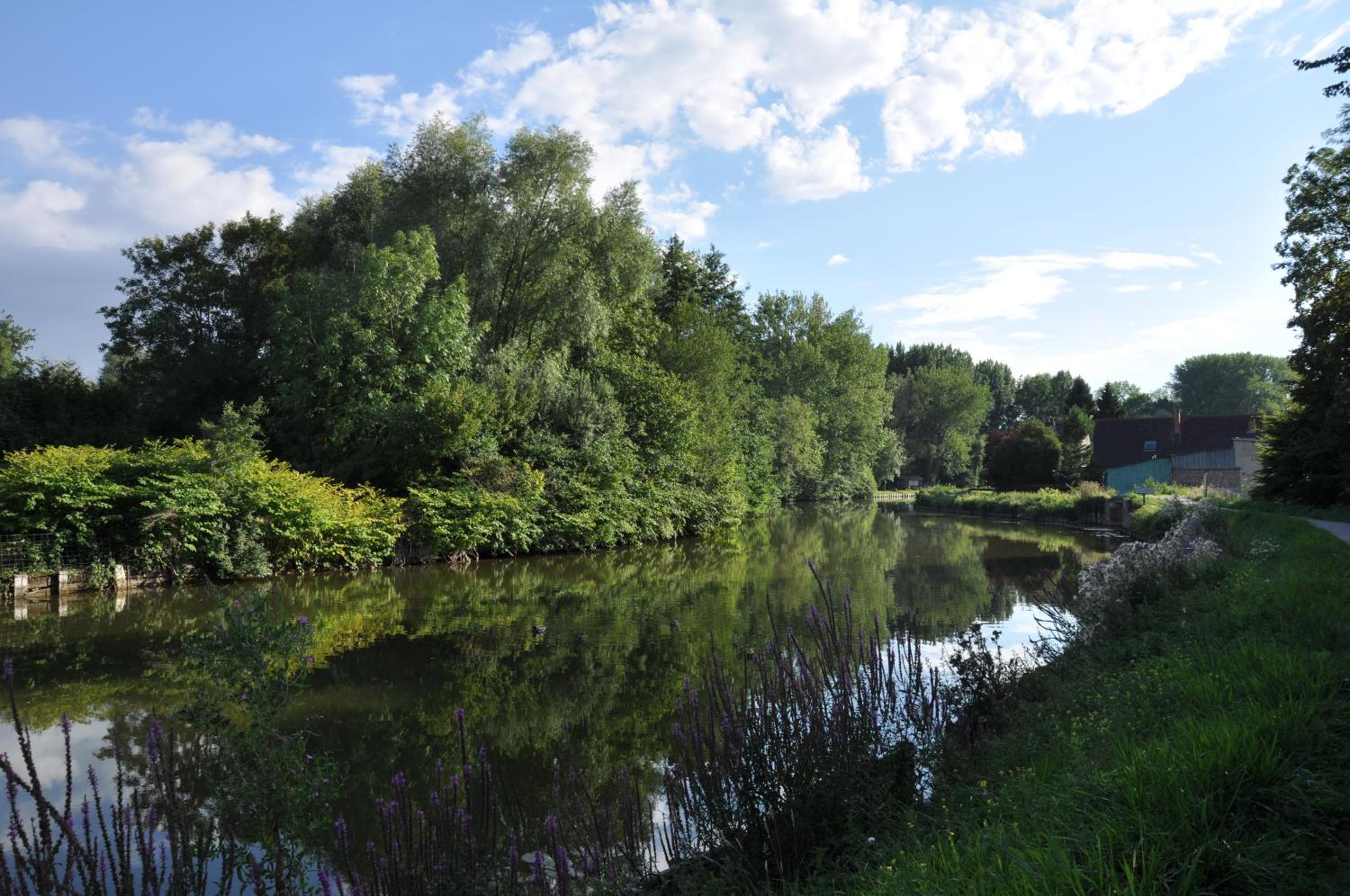 Photo 42