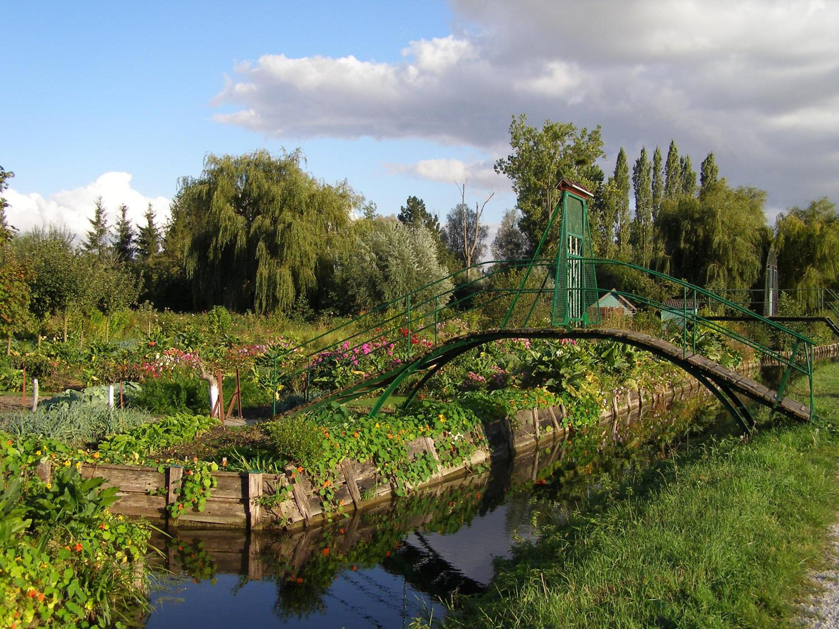Photo 37