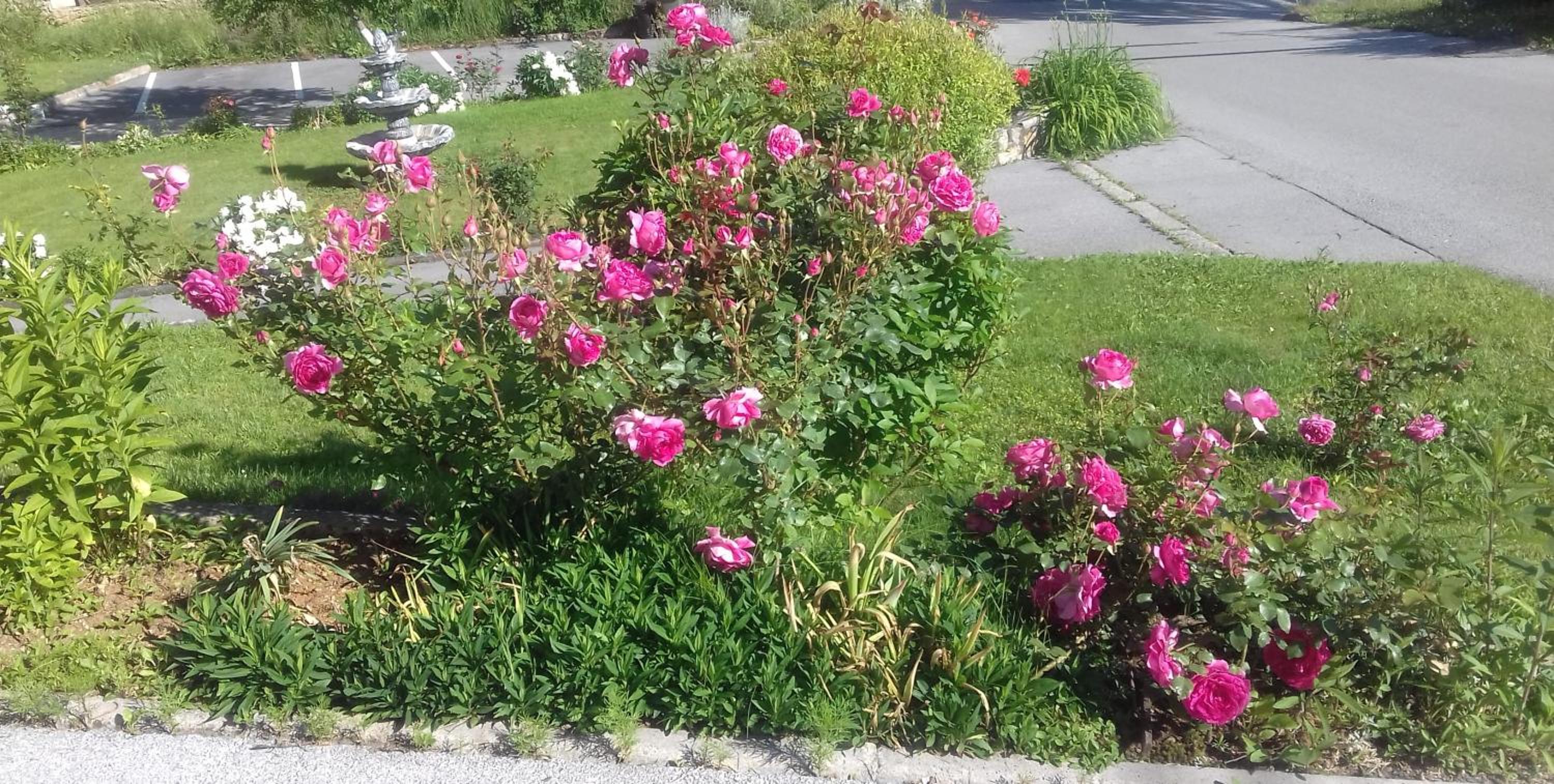 Photo 7