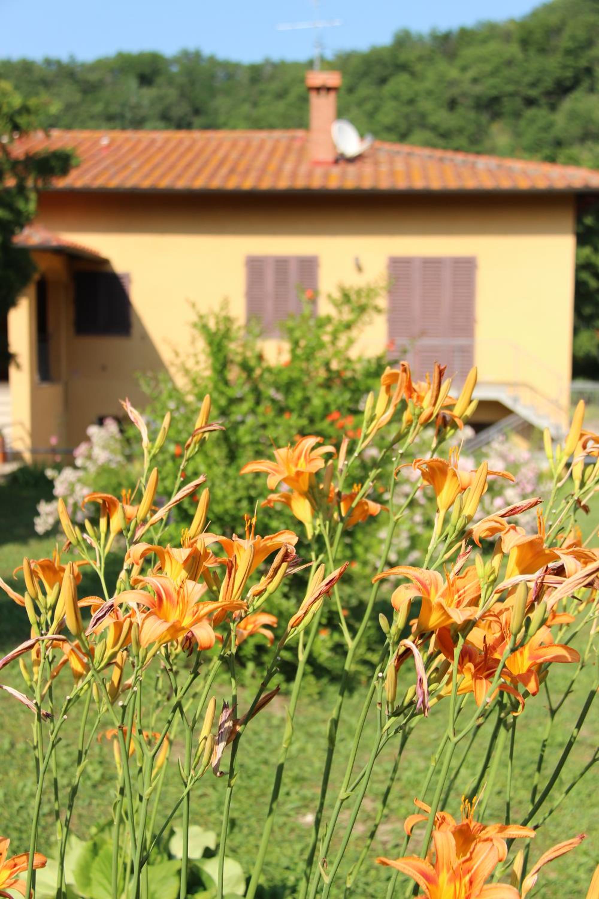 La Valle De' Medici
