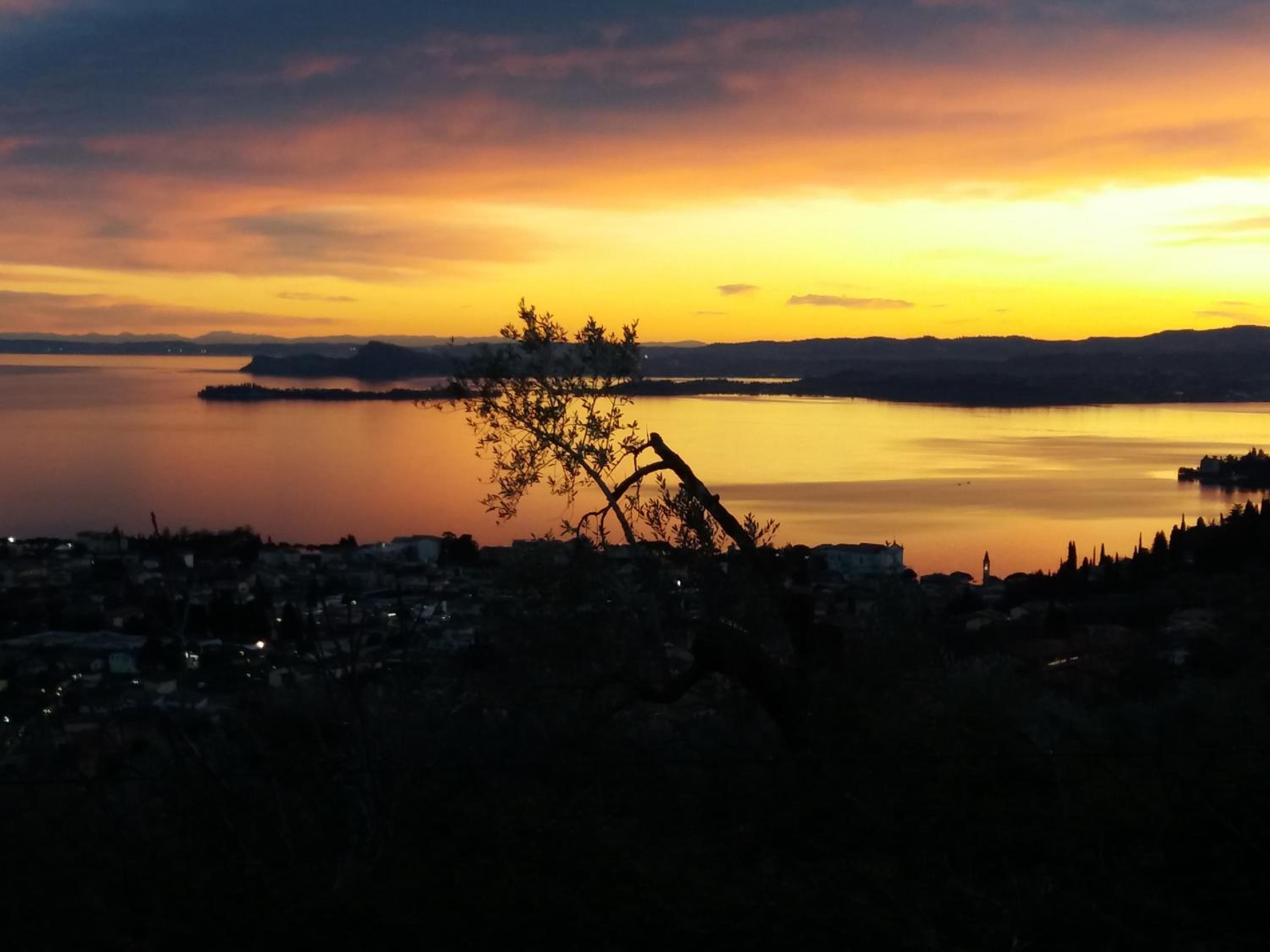 B&B Camister photo 3