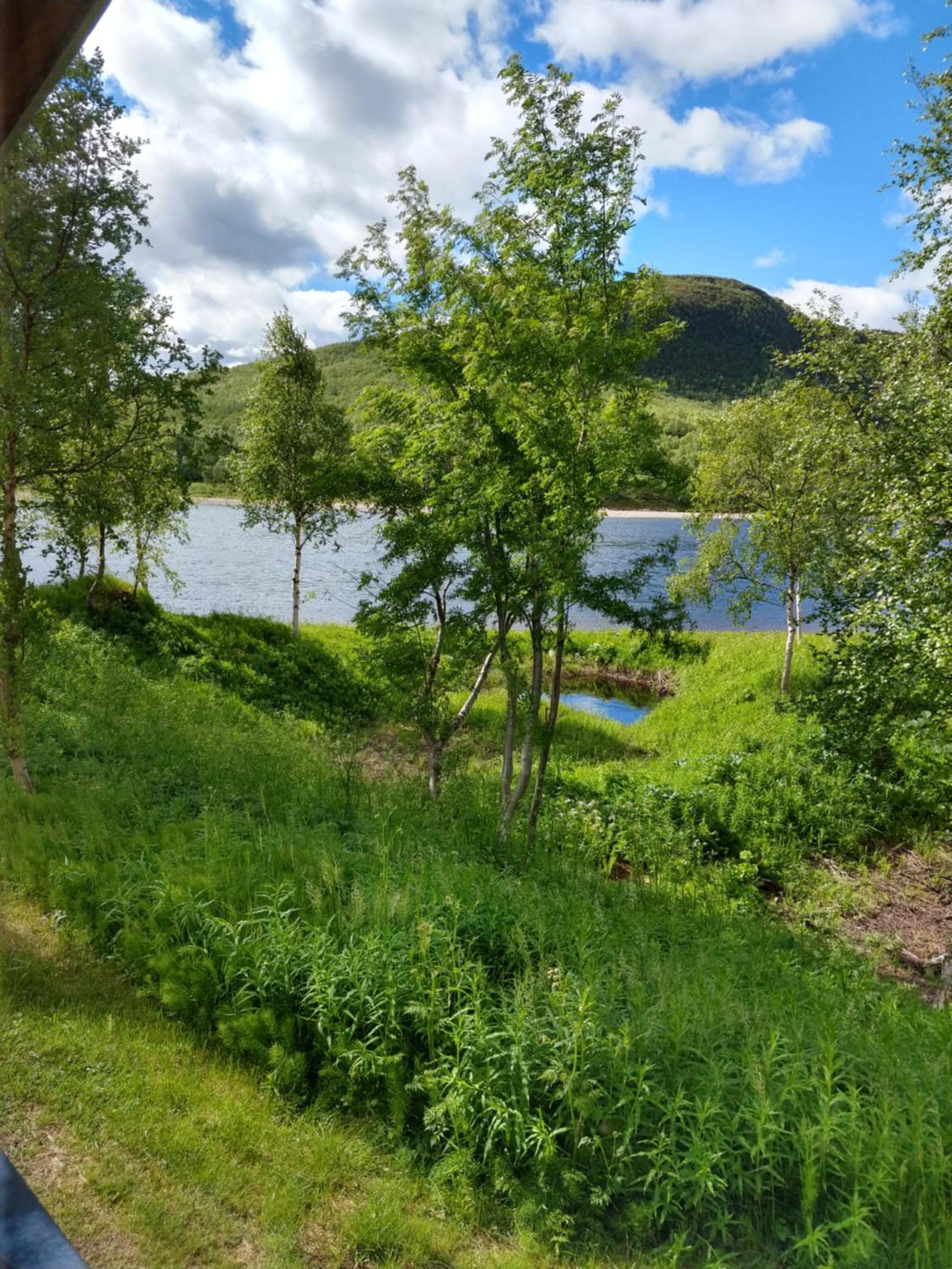 Vetsikon Leirintämökit view 3
