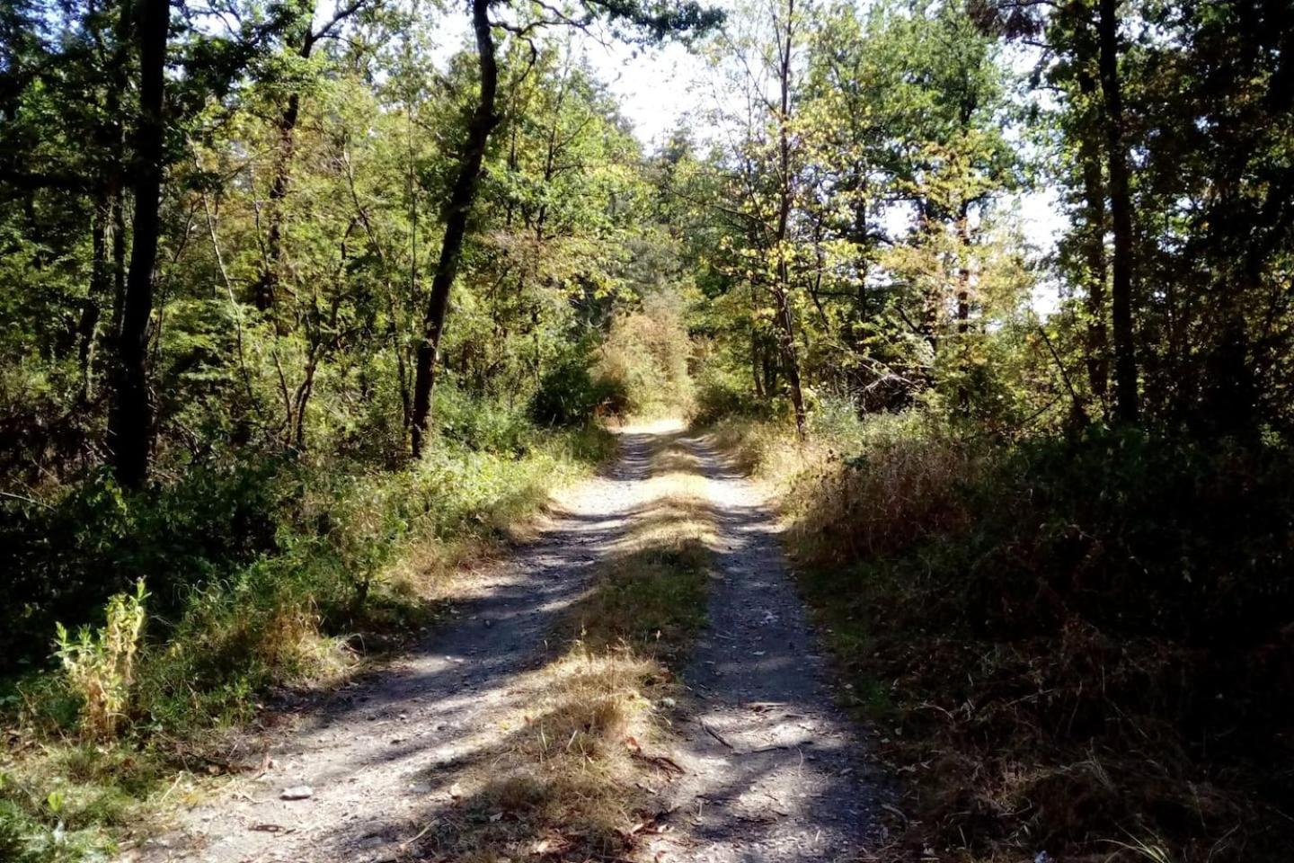 Chalet Siësta is rust & natuur in Barvaux Durbuy