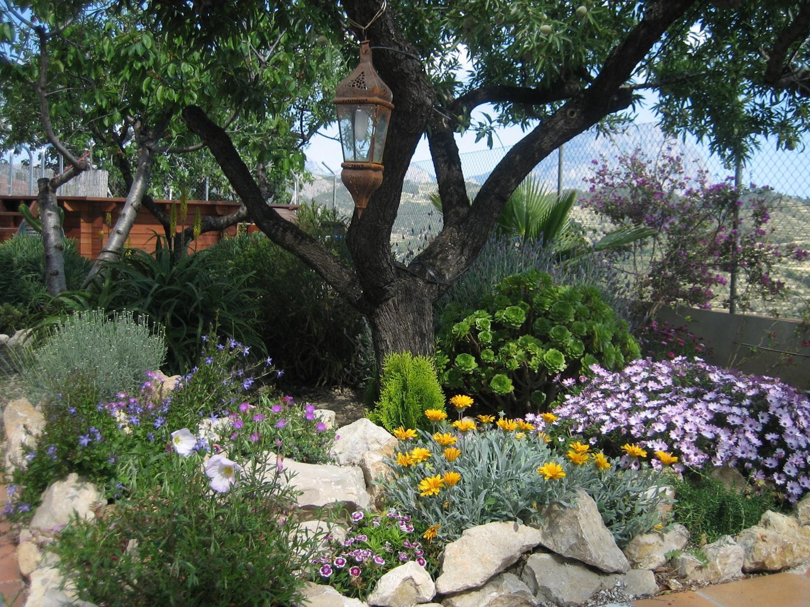 Photo 20