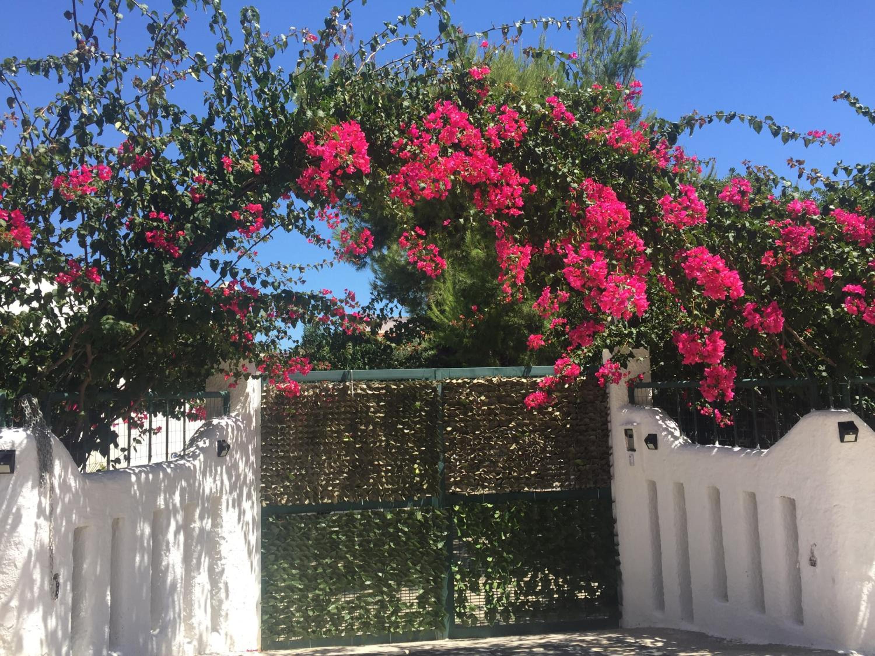 Casa Stella Marina photo 1