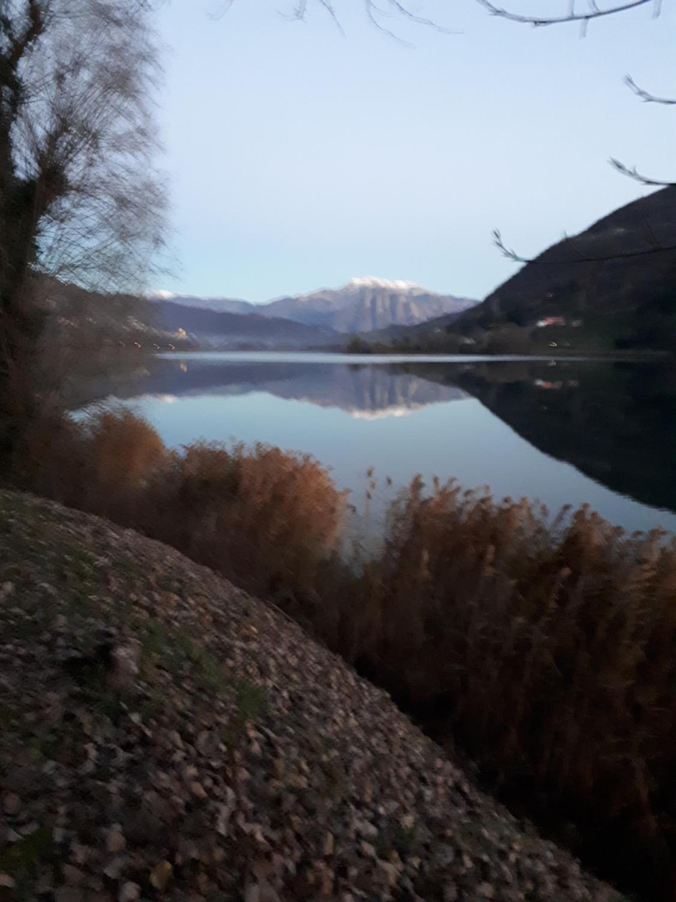 Un nido sul lago