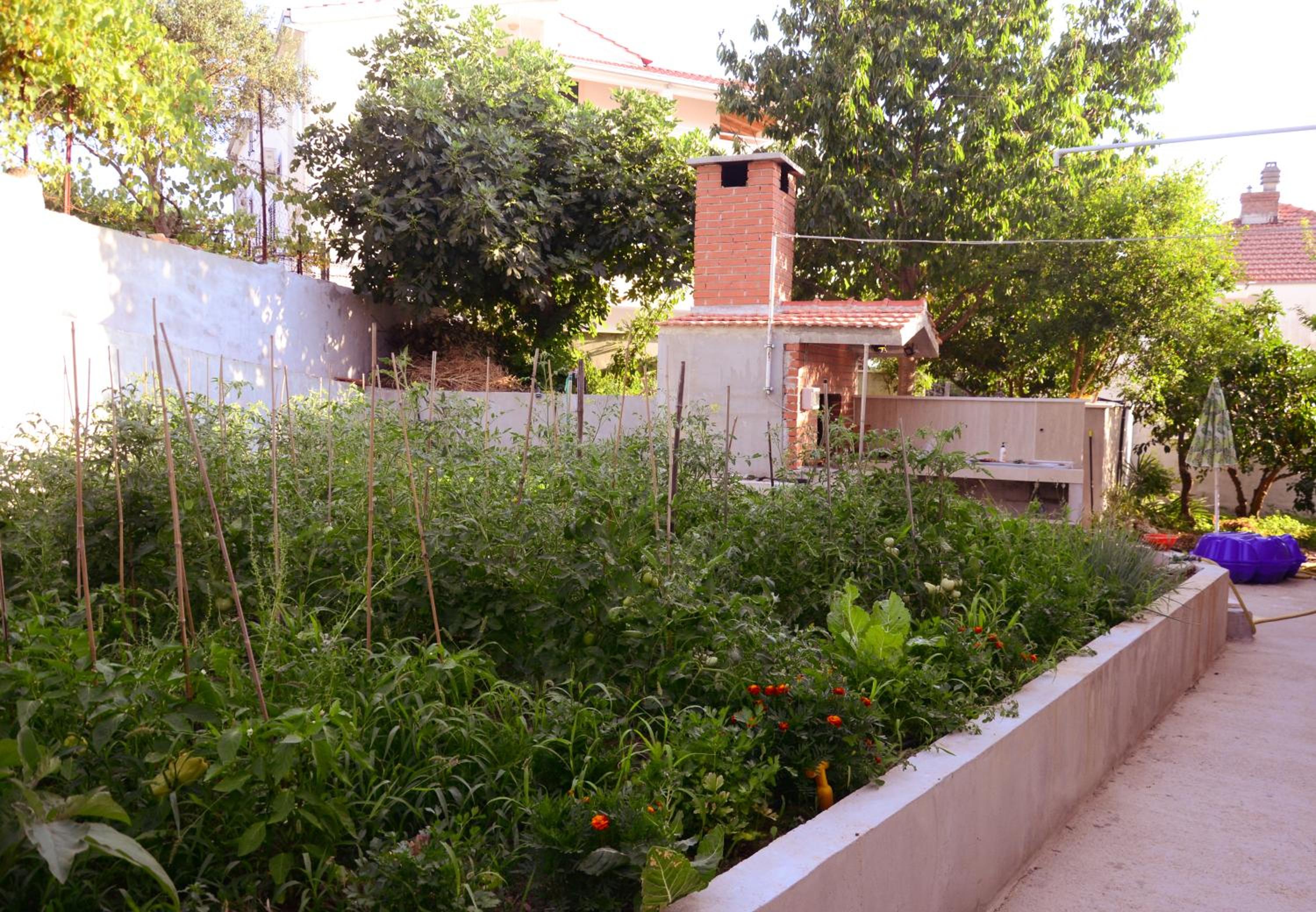 Photo 24