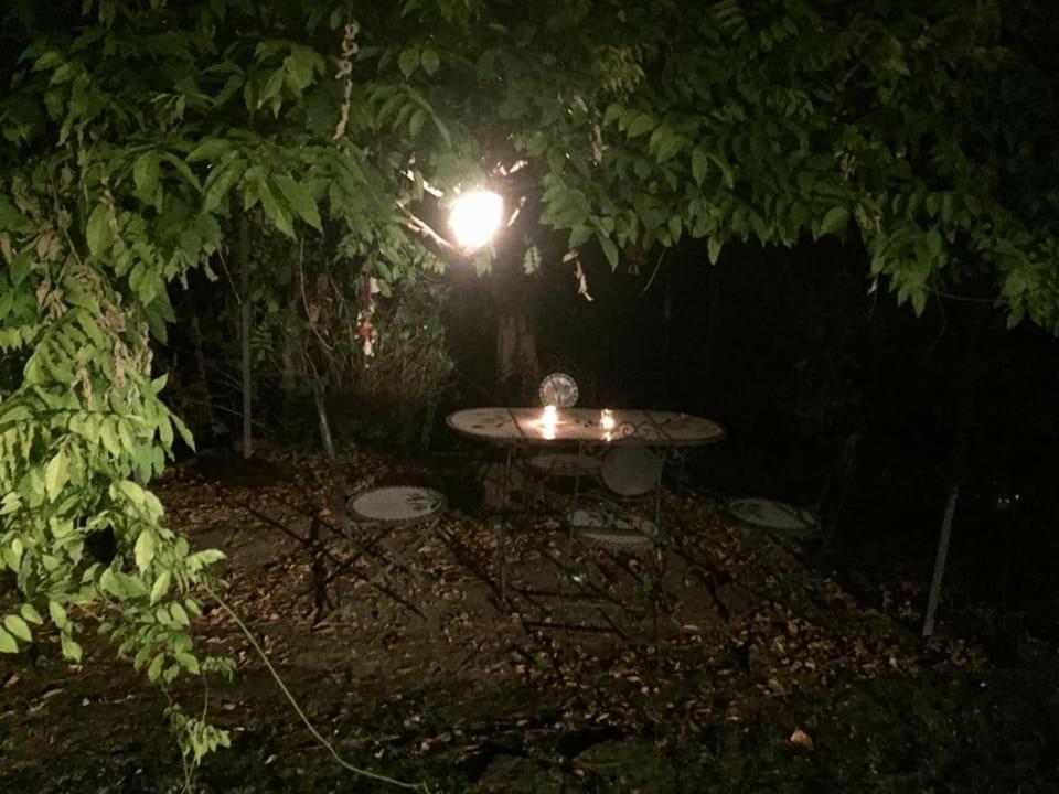 Photo 22