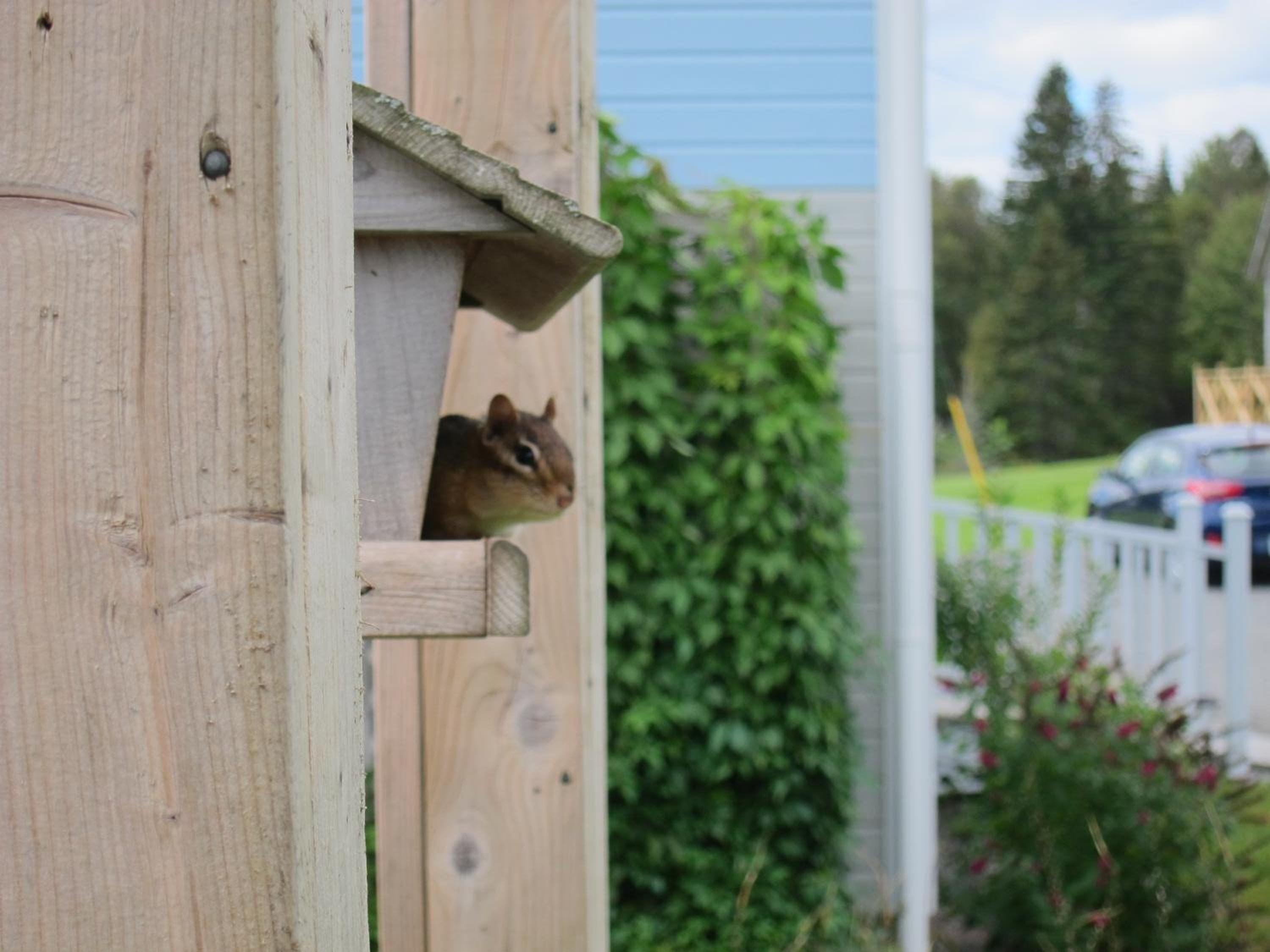 Auld Farm Inn B&B, 写真 29