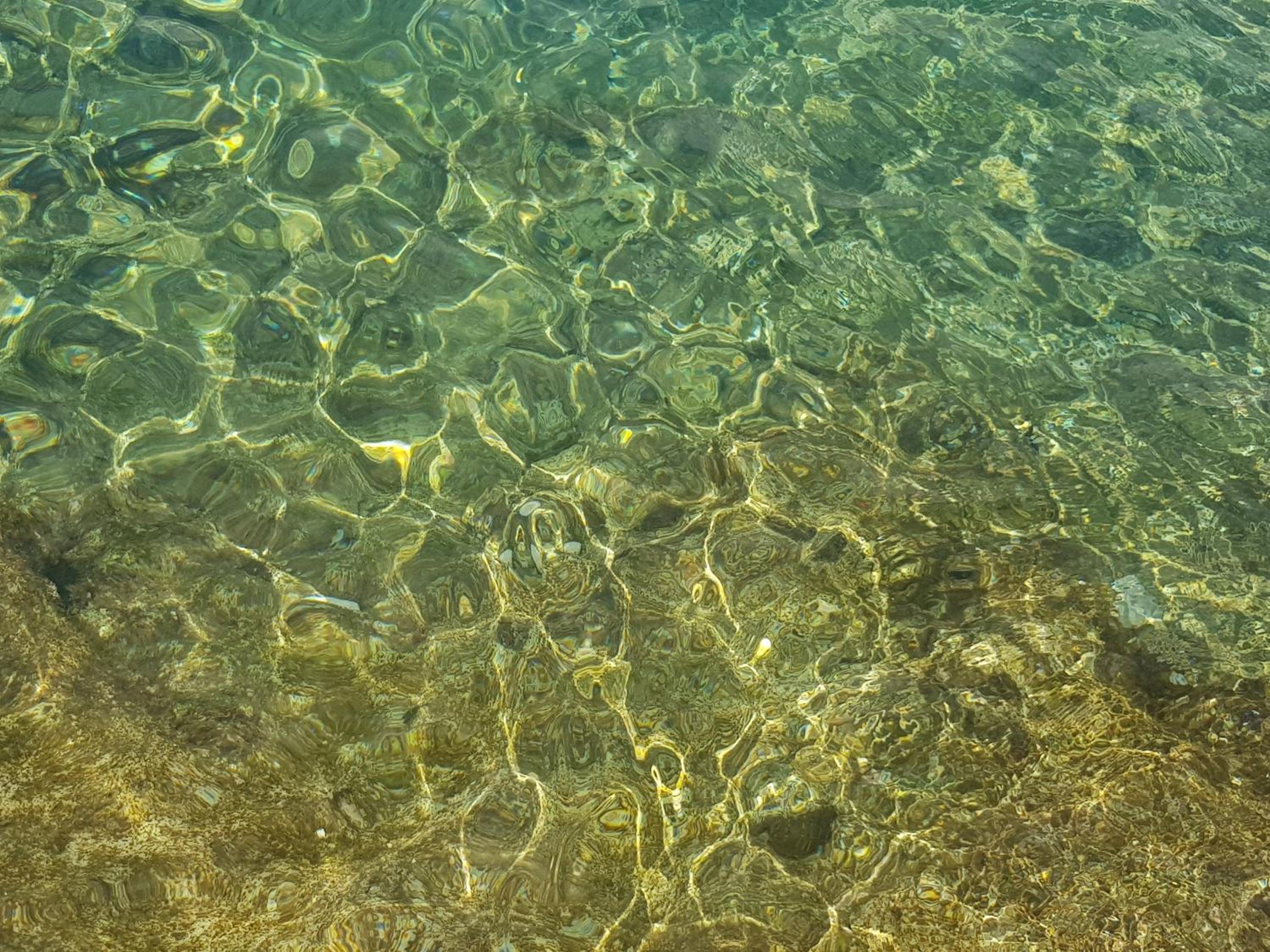 LillyBoat view 3