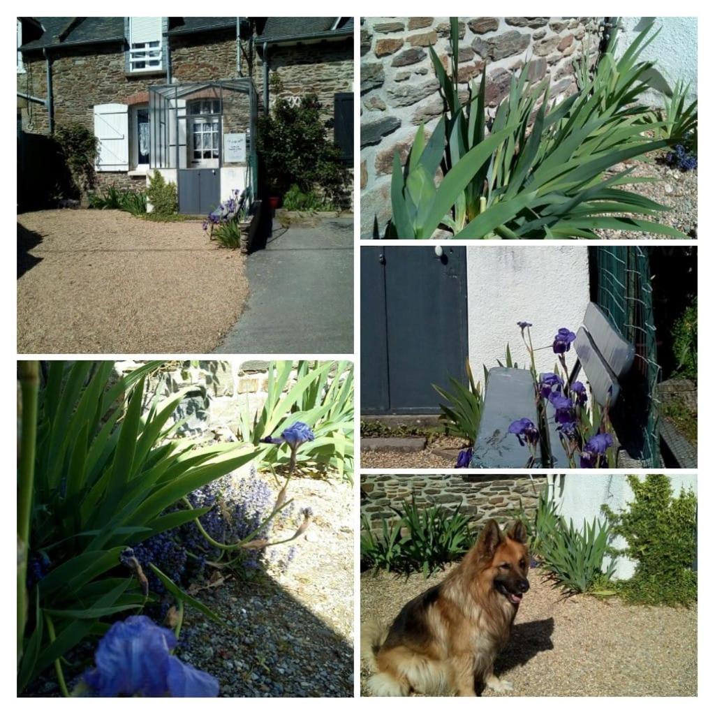Le Cati Mini view 3