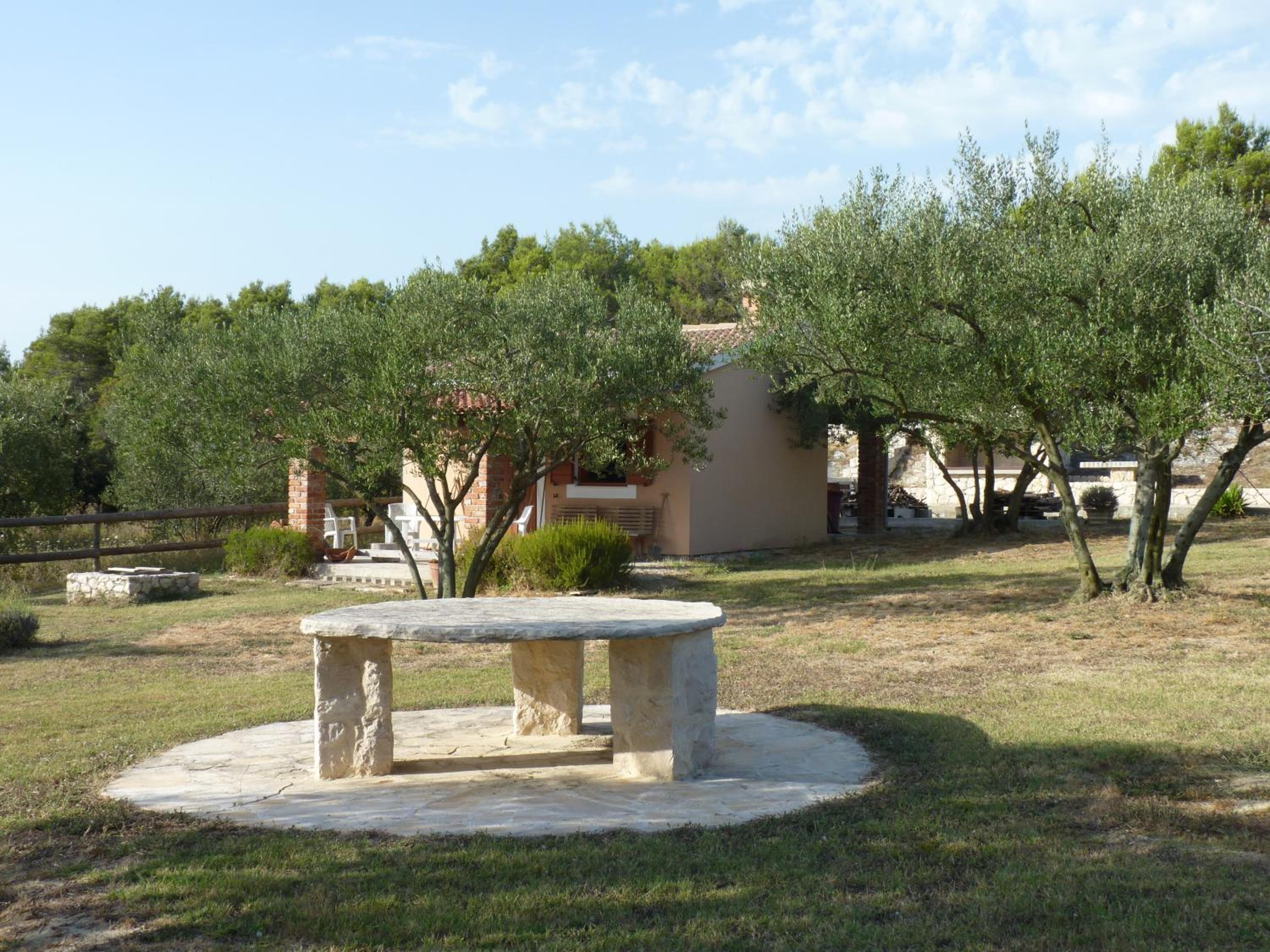 Photo 45